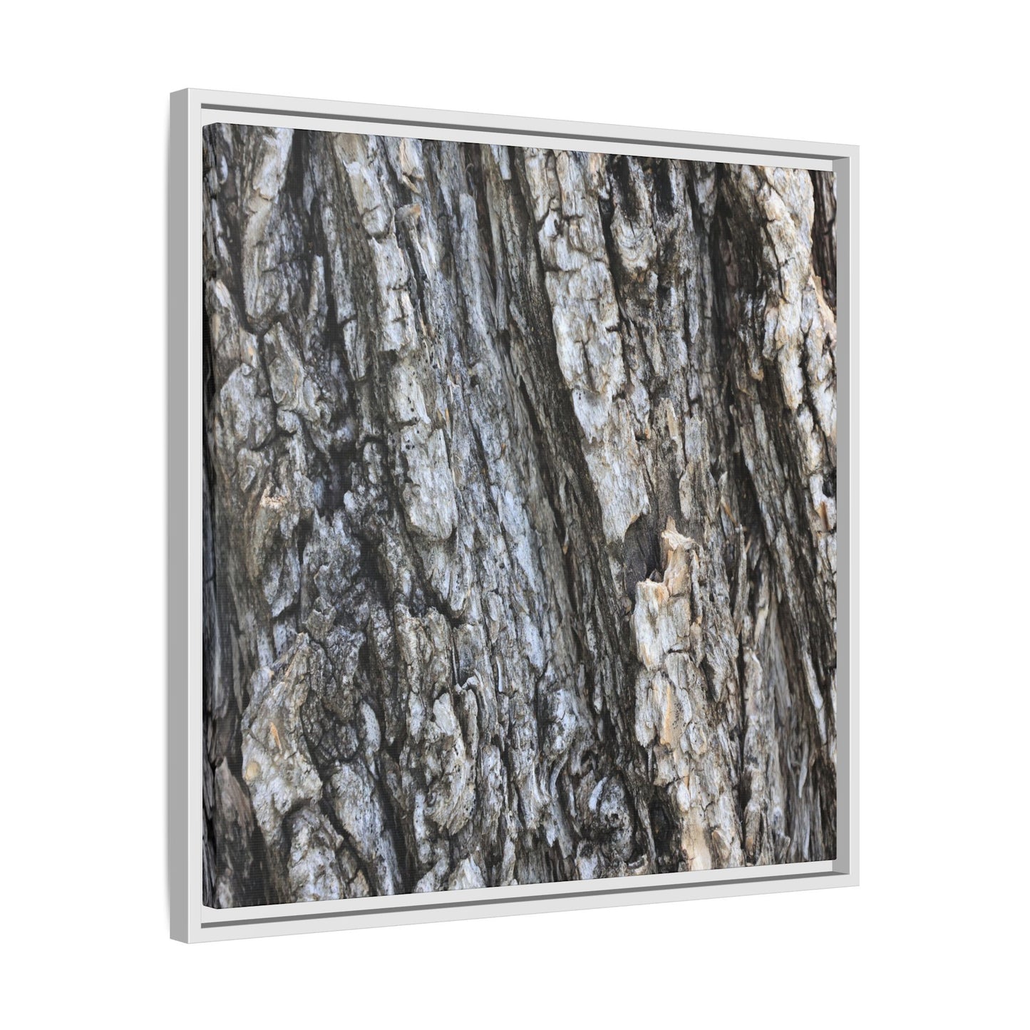 Twisted Textures - Unique Stretched Canvas Wall Art