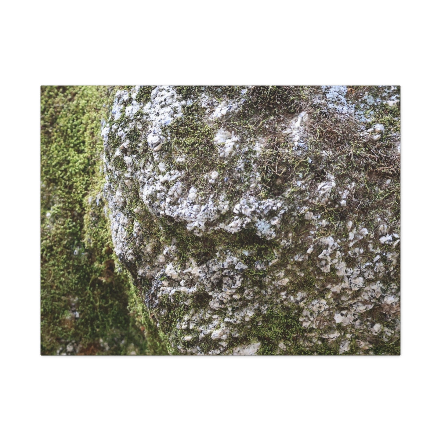 Moss and Stone Whispers - Unique Frameless Canvas Wall Art