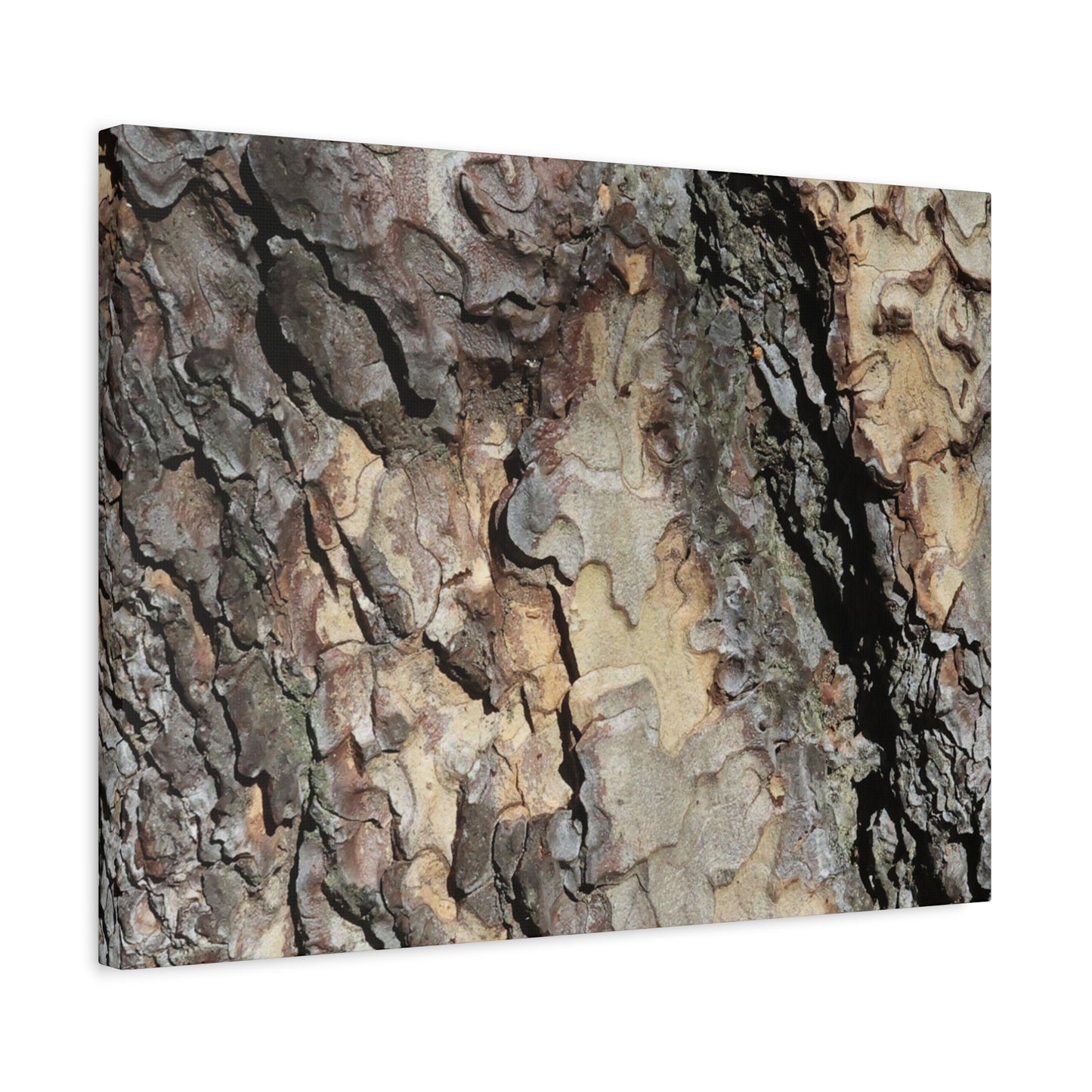 Tree Bark Symphony - Unique Frameless Canvas Wall Art