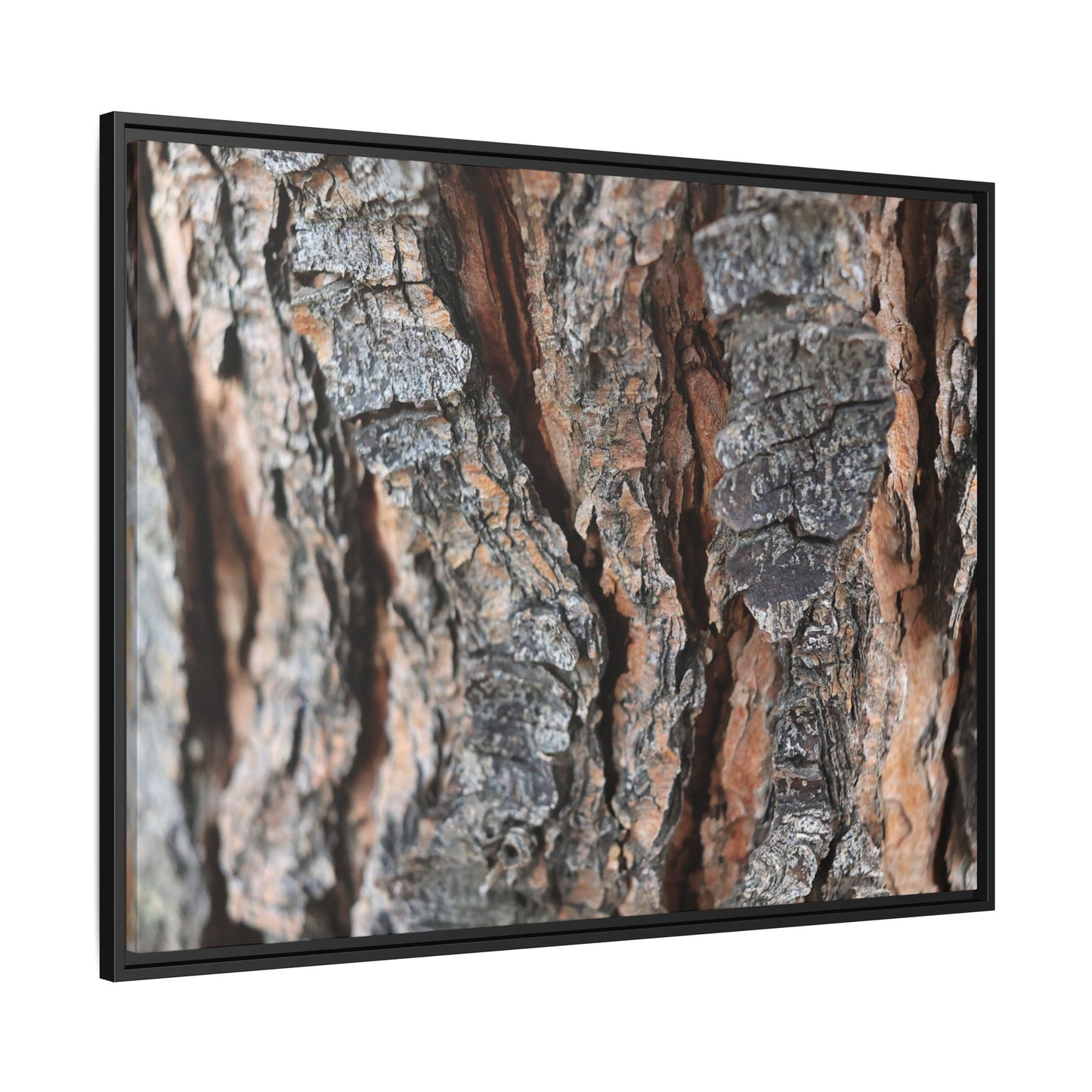 Fractured Nature - Unique Stretched Canvas Wall Art