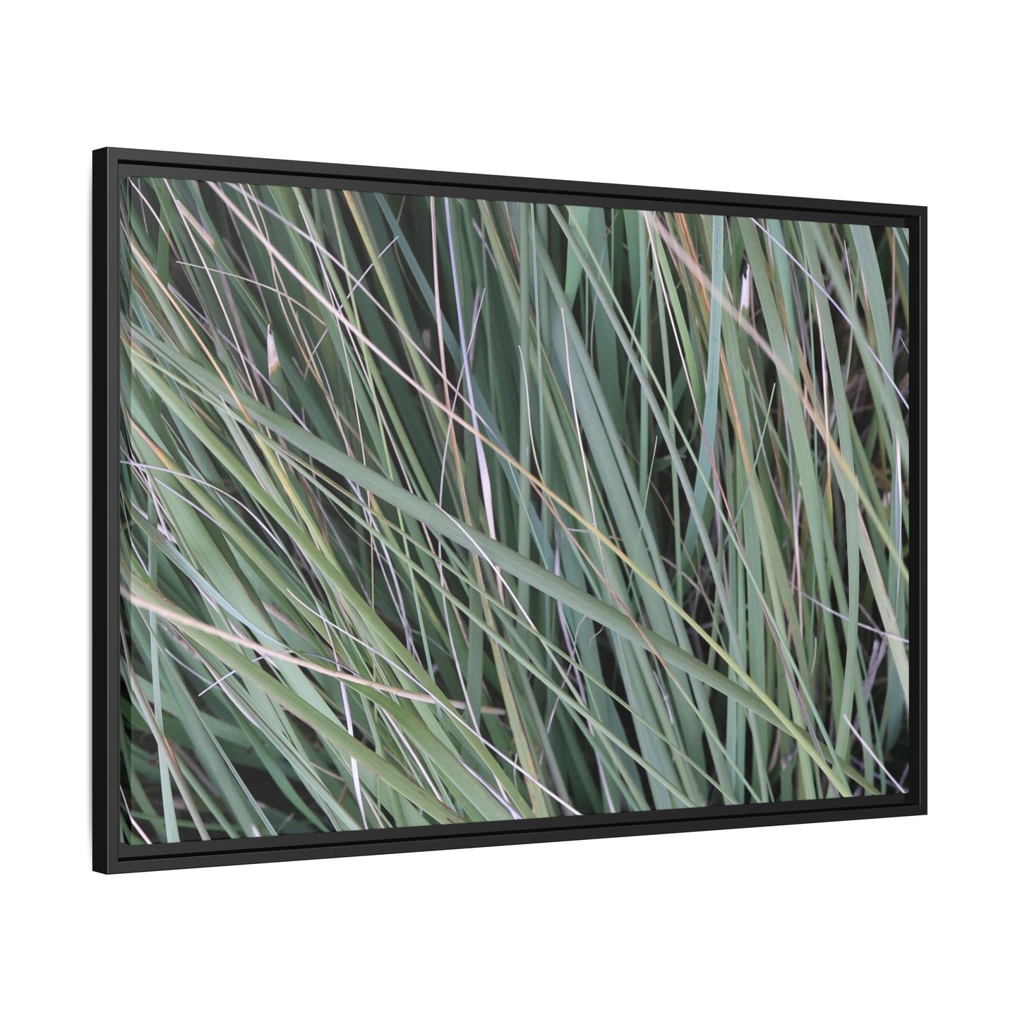 Grassland Symphony - Unique Stretched Canvas Wall Art