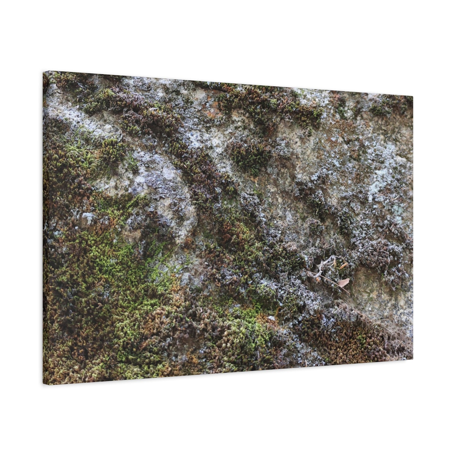 Moss Tapestry - Unique Frameless Canvas Wall Art