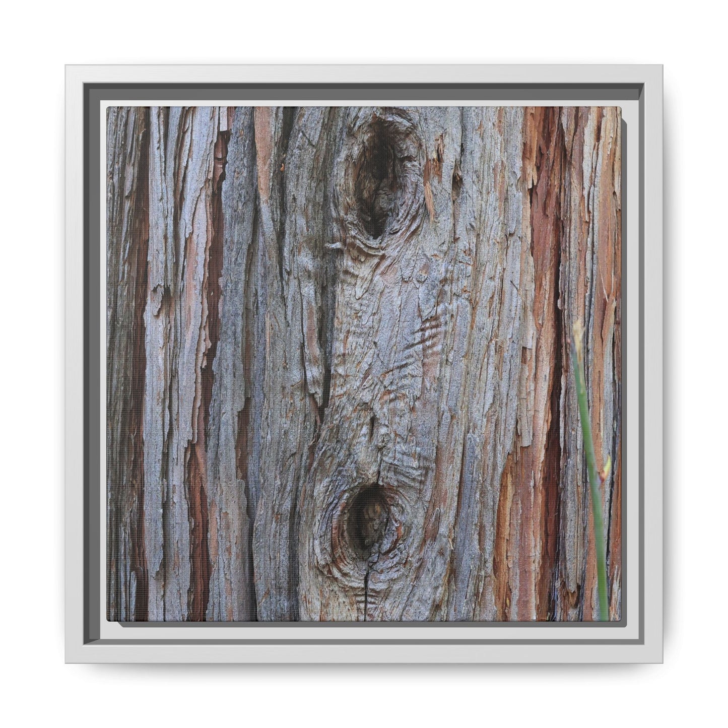 Knotty Nature - Unique Stretched Canvas Wall Art