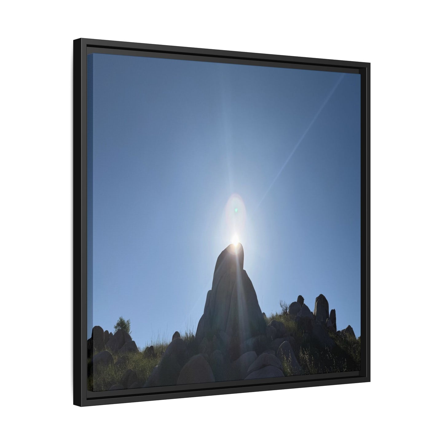 Sunburst - Unique Stretched Canvas Wall Art