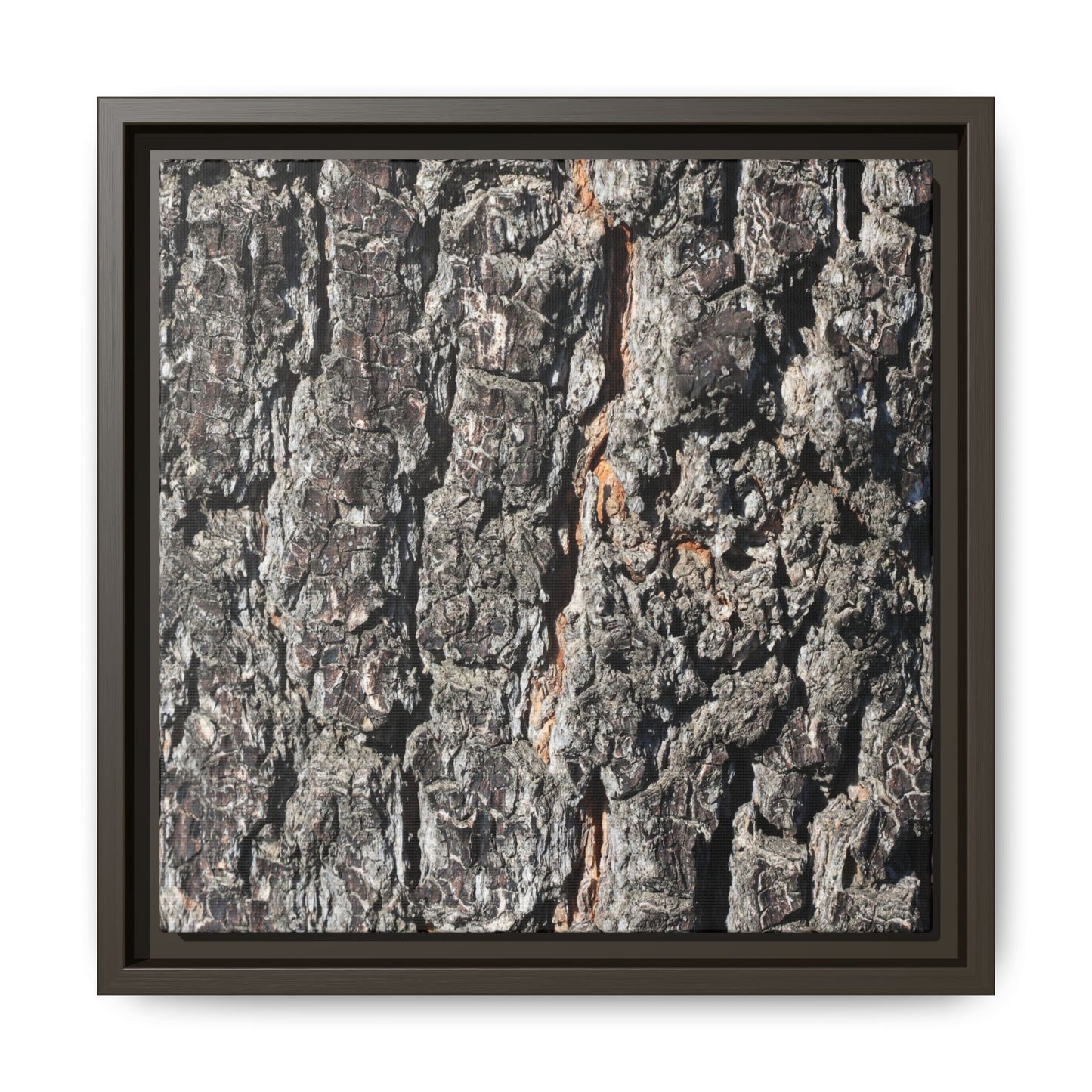 Aged Beauty - Unique Stretched Canvas Wall Art