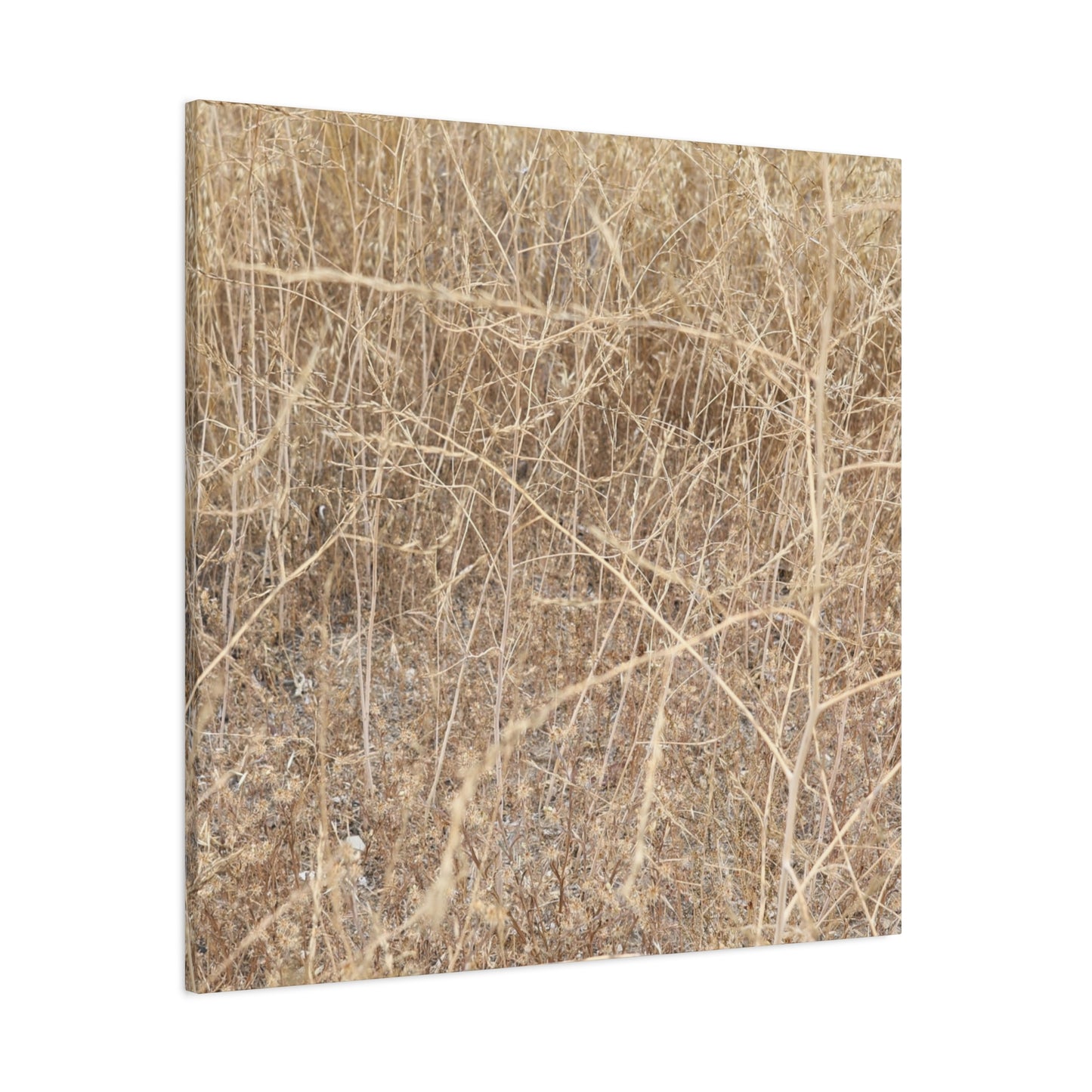 Dry Echoes - Unique Frameless Canvas Wall Art