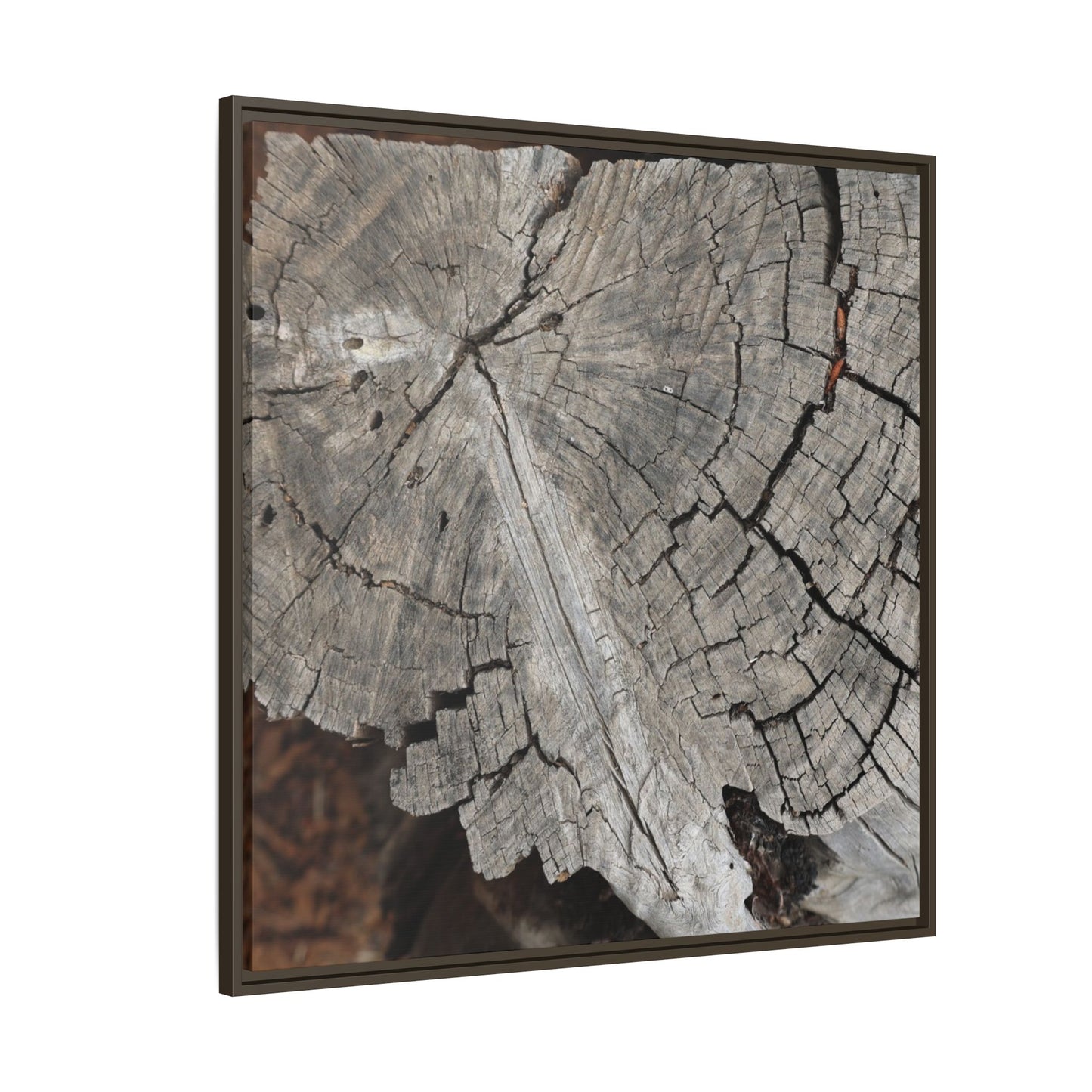 Time's Signature - Unique Stretched Canvas Wall Art