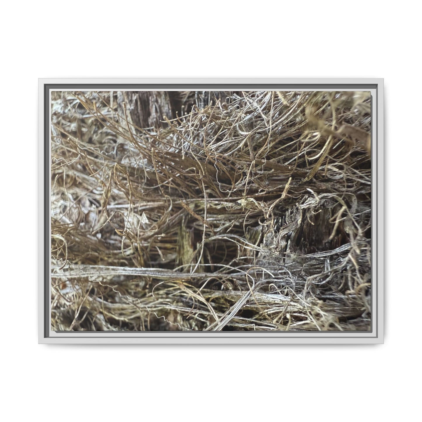 Tangled Whispers of Autumn - Unique Stretched Canvas Wall Art