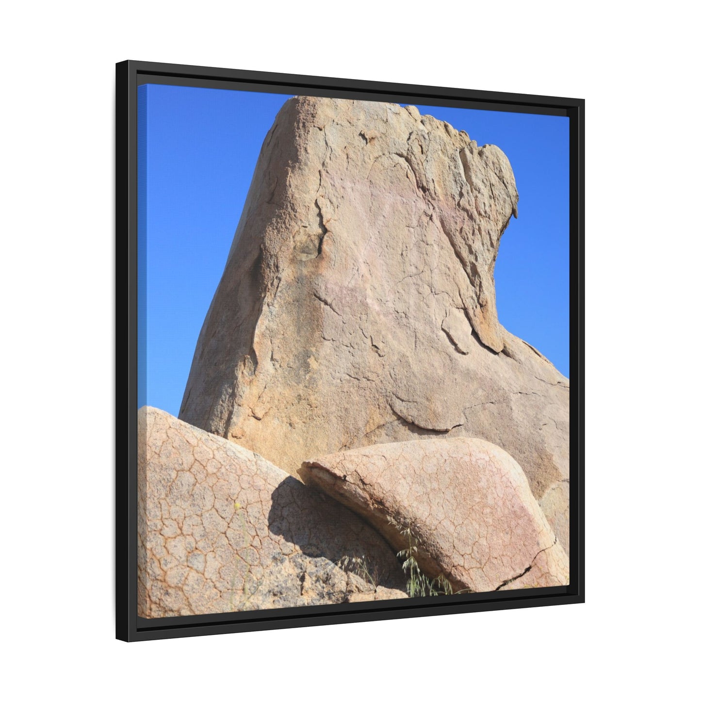Rocky Sentinel - Unique Stretched Canvas Wall Art
