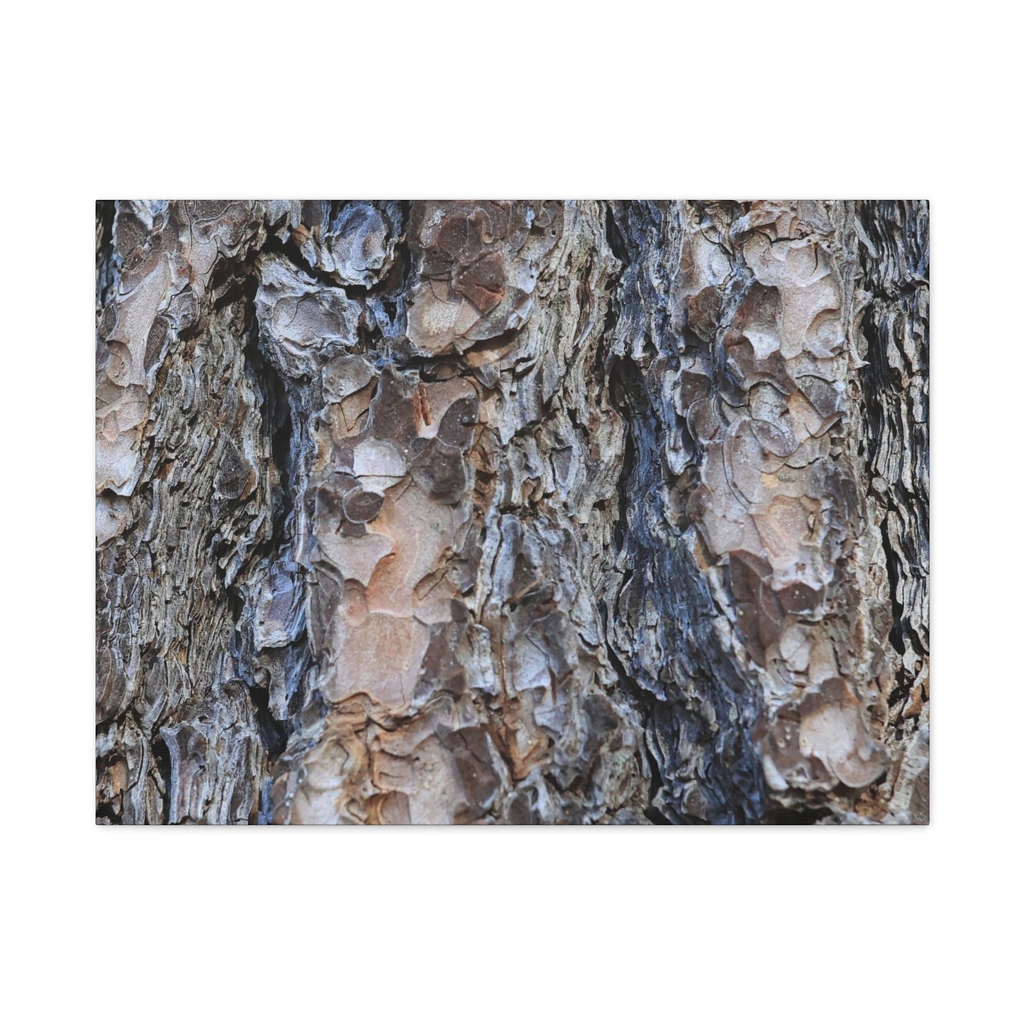Arboreal Patterns - Unique Frameless Canvas Wall Art