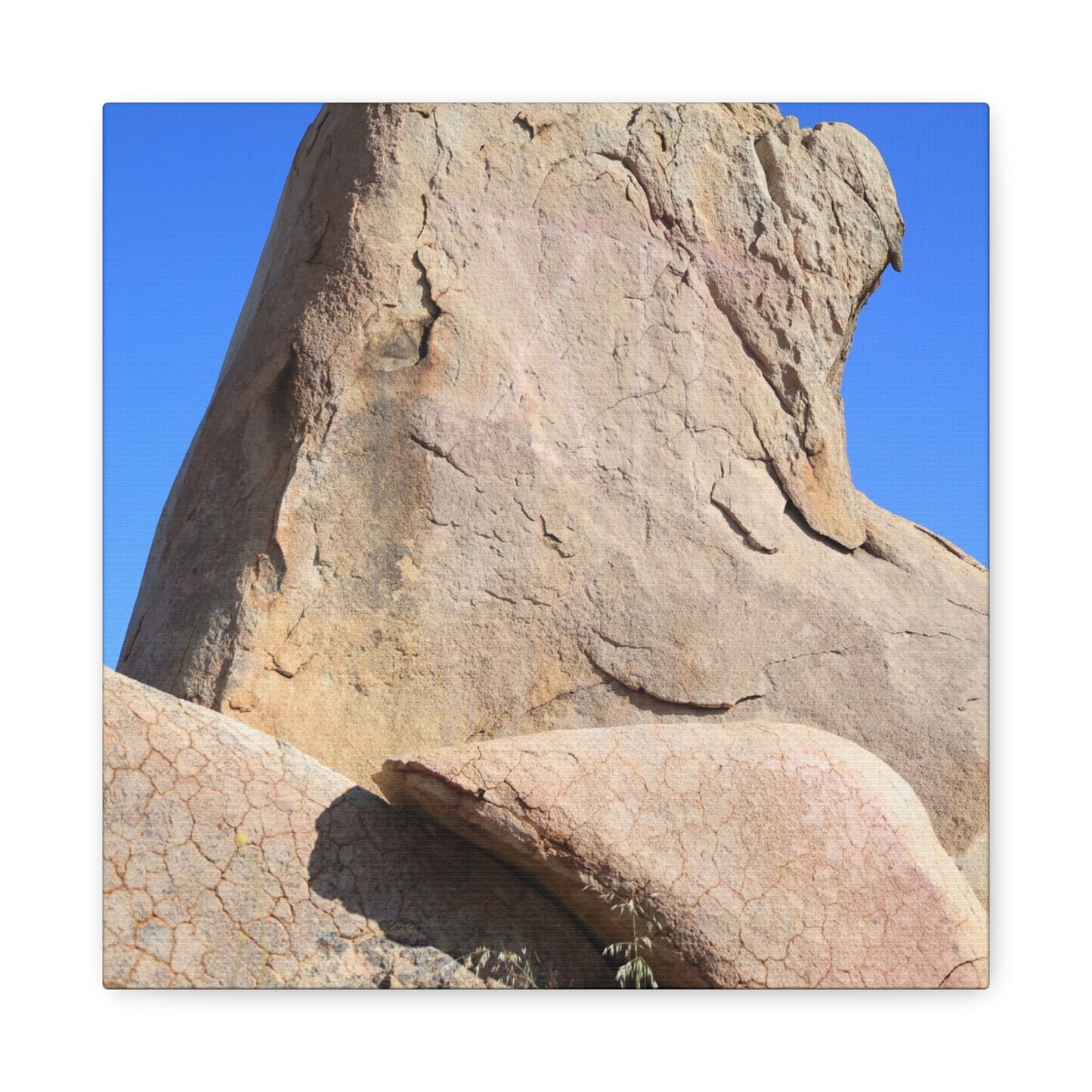Boulder's Embrace - Unique Frameless Canvas Wall Art