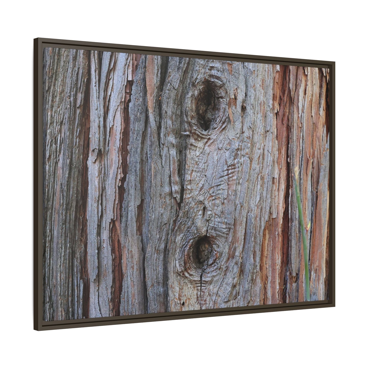 Knotty Nature - Unique Stretched Canvas Wall Art