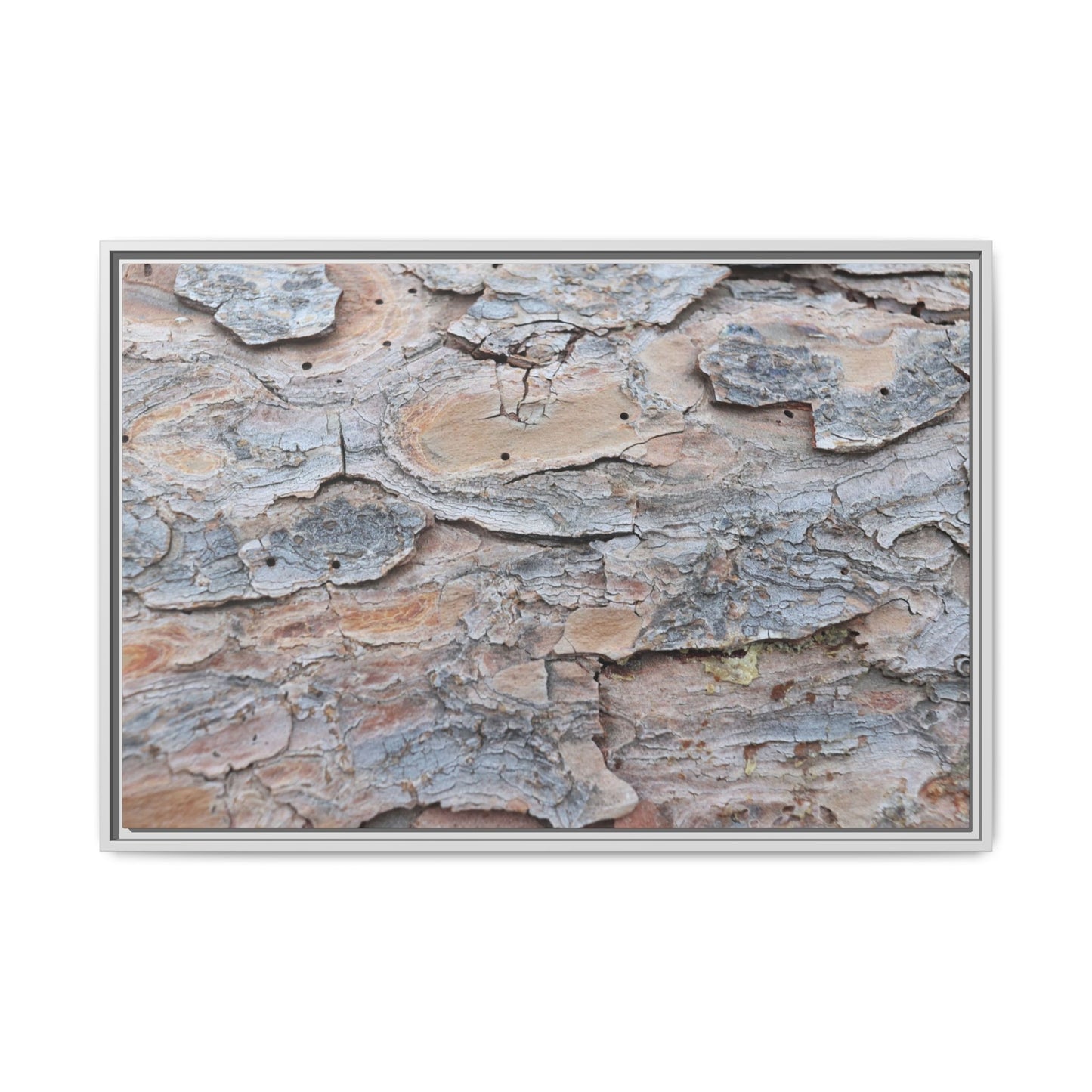 Peeling Memories - Unique Stretched Canvas Wall Art