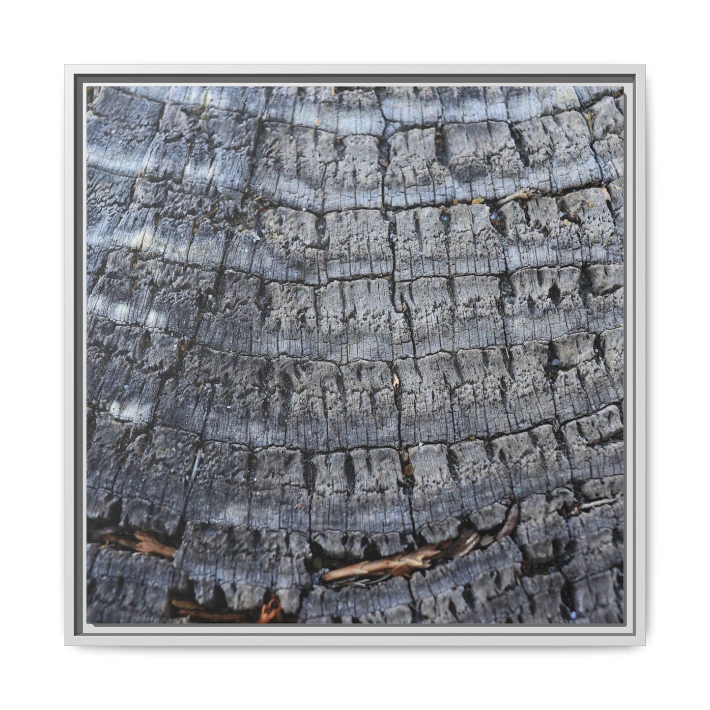 Charred Memories - Unique Stretched Canvas Wall Art