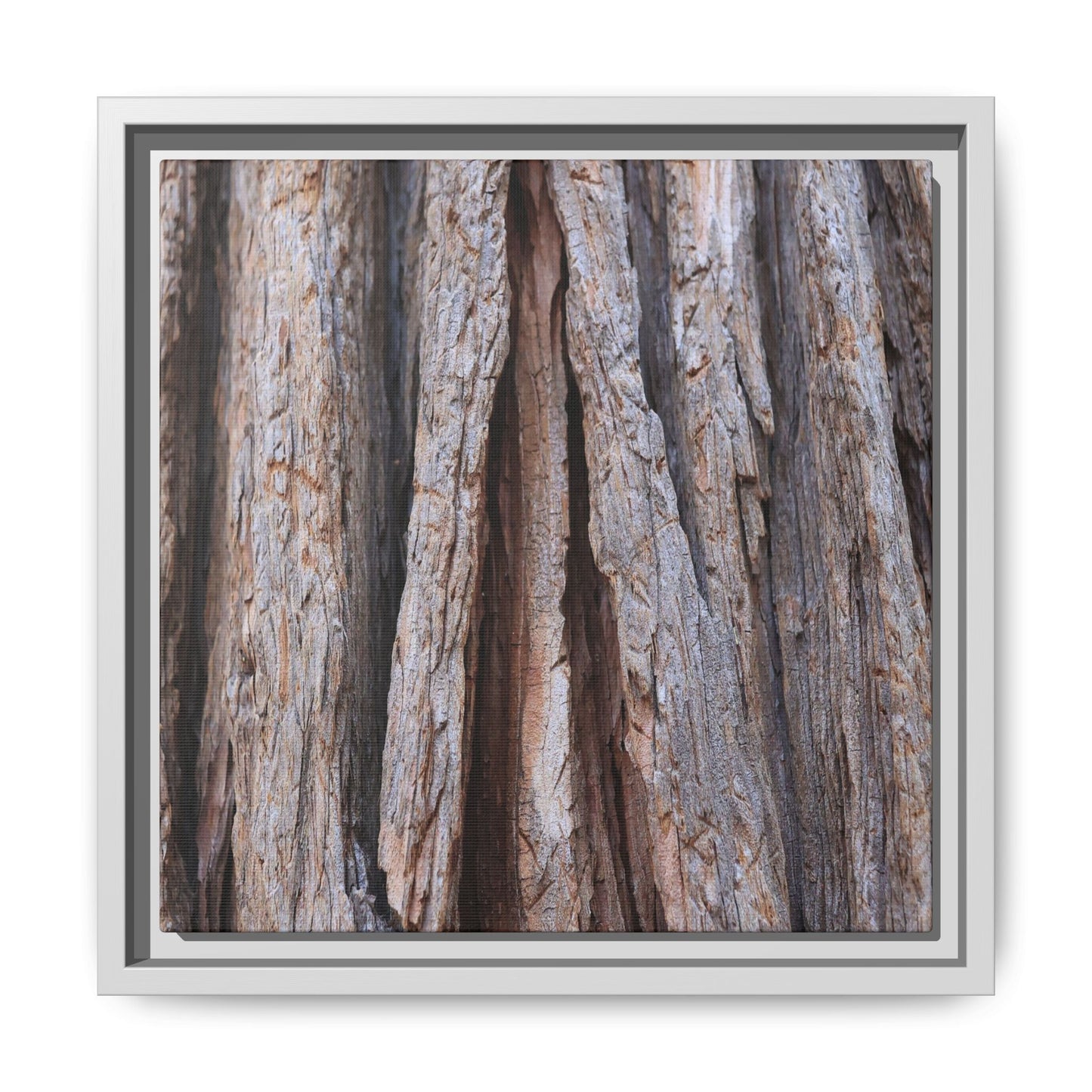 Nature's Sculpture - Unique Stretched Canvas Wall Art