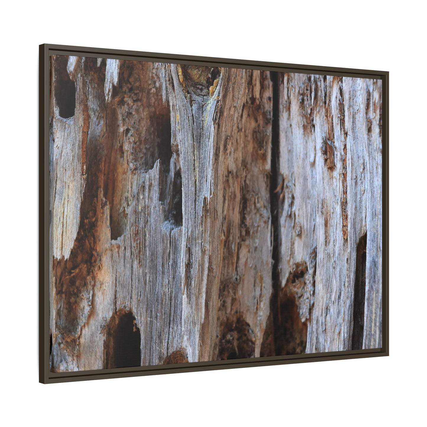 Decaying Splendor - Unique Stretched Canvas Wall Art