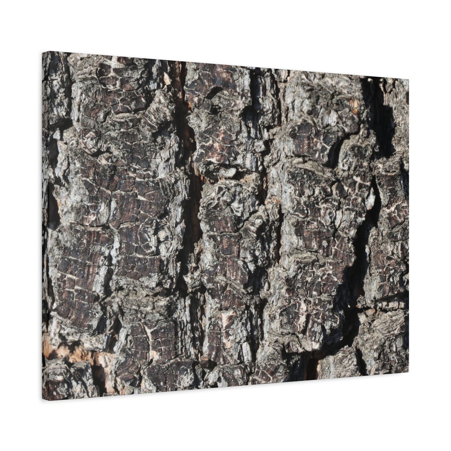 Cracked Skin of Earth - Unique Frameless Canvas Wall Art
