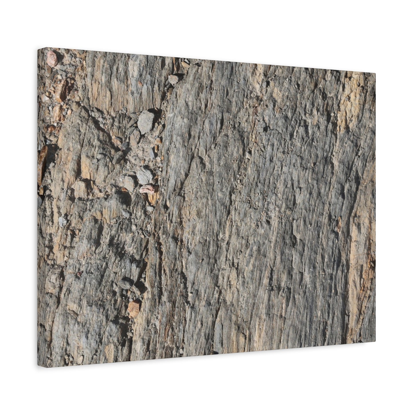 Bark Echoes - Unique Frameless Canvas Wall Art