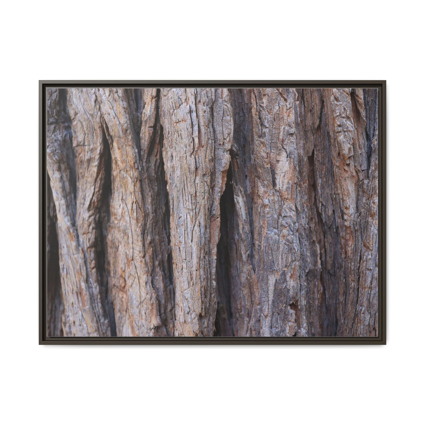 Ancient Grains - Unique Stretched Canvas Wall Art