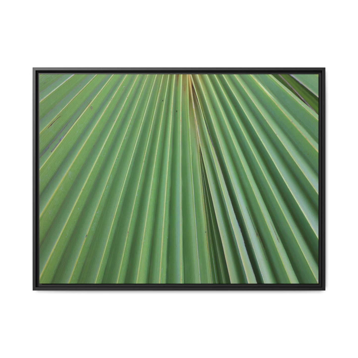 Verdant Veins - Unique Stretched Canvas Wall Art