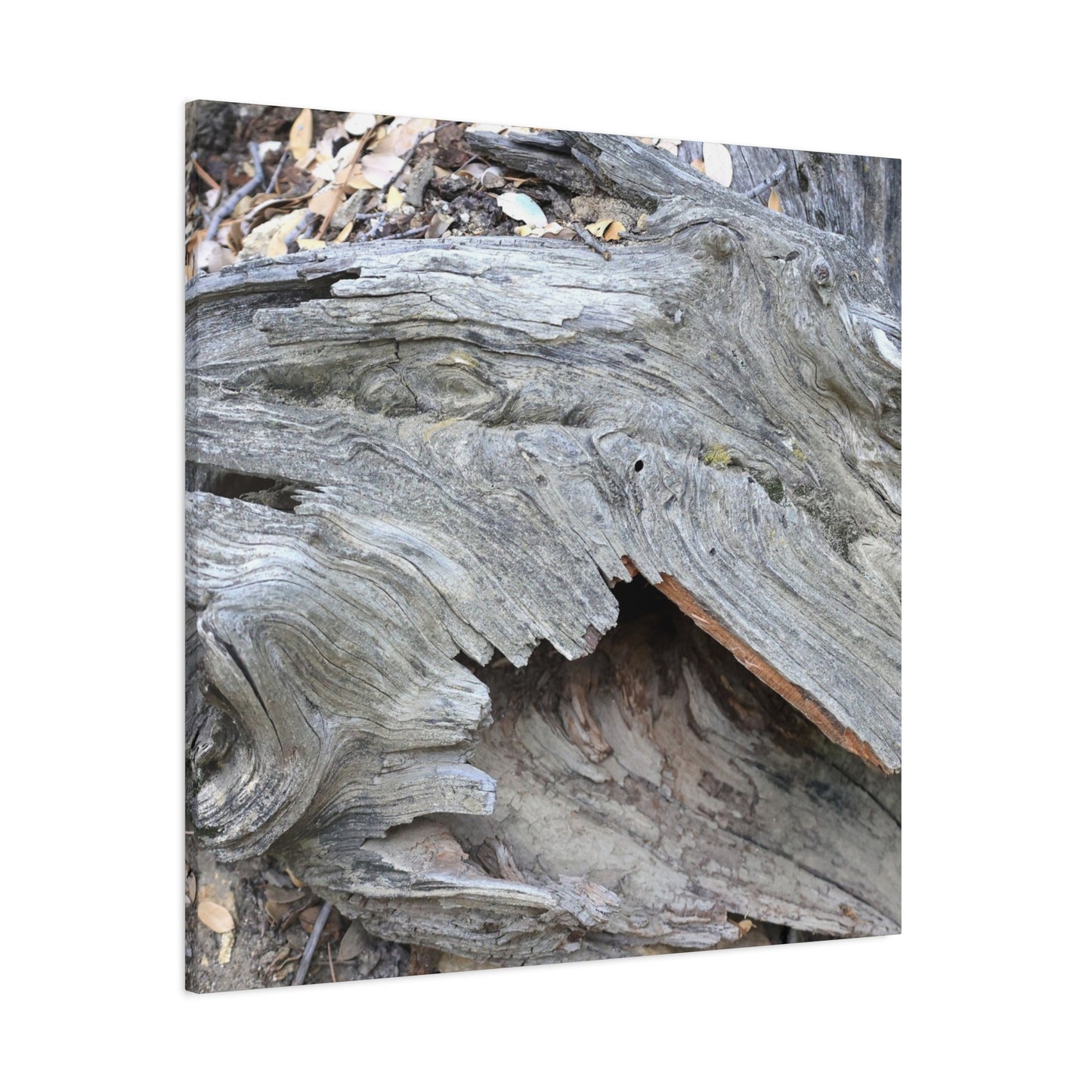 Whispers of Ancient Wood - Unique Frameless Canvas Wall Art