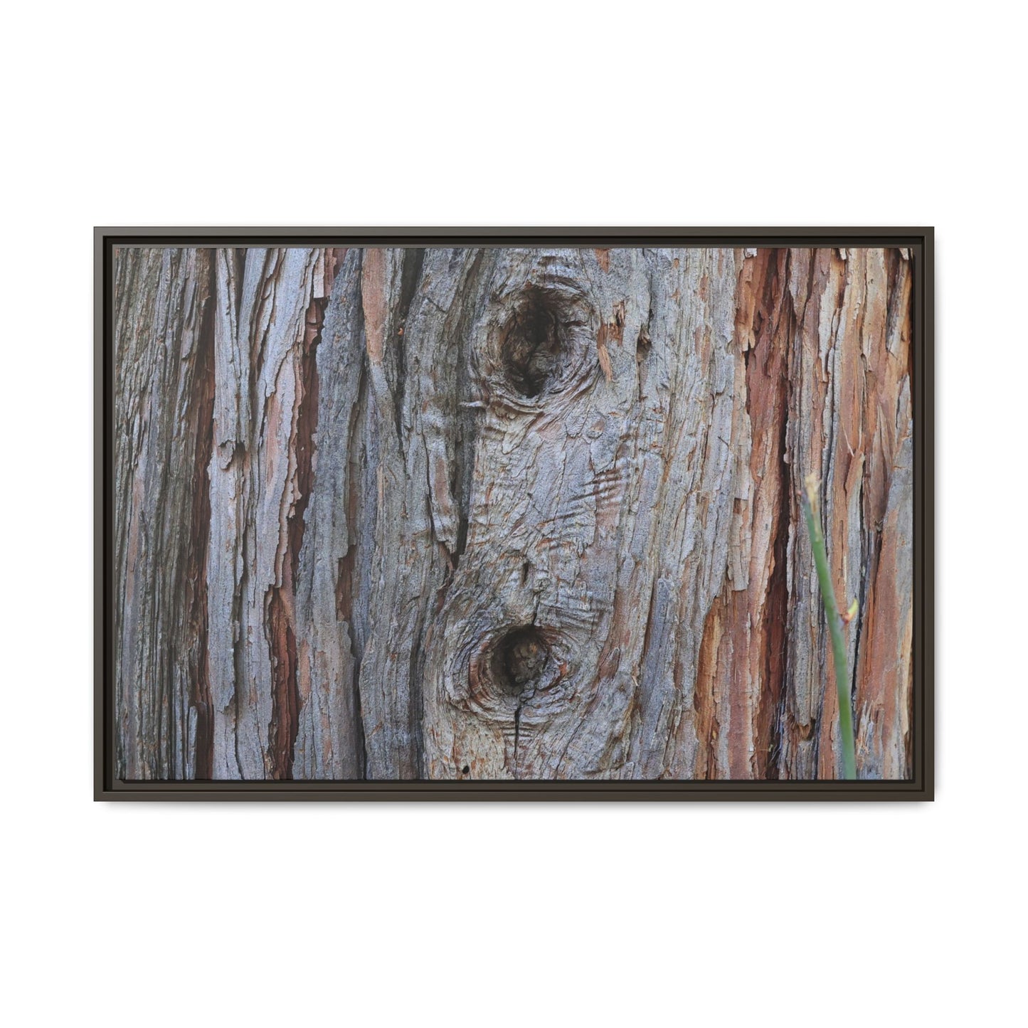 Knotty Nature - Unique Stretched Canvas Wall Art