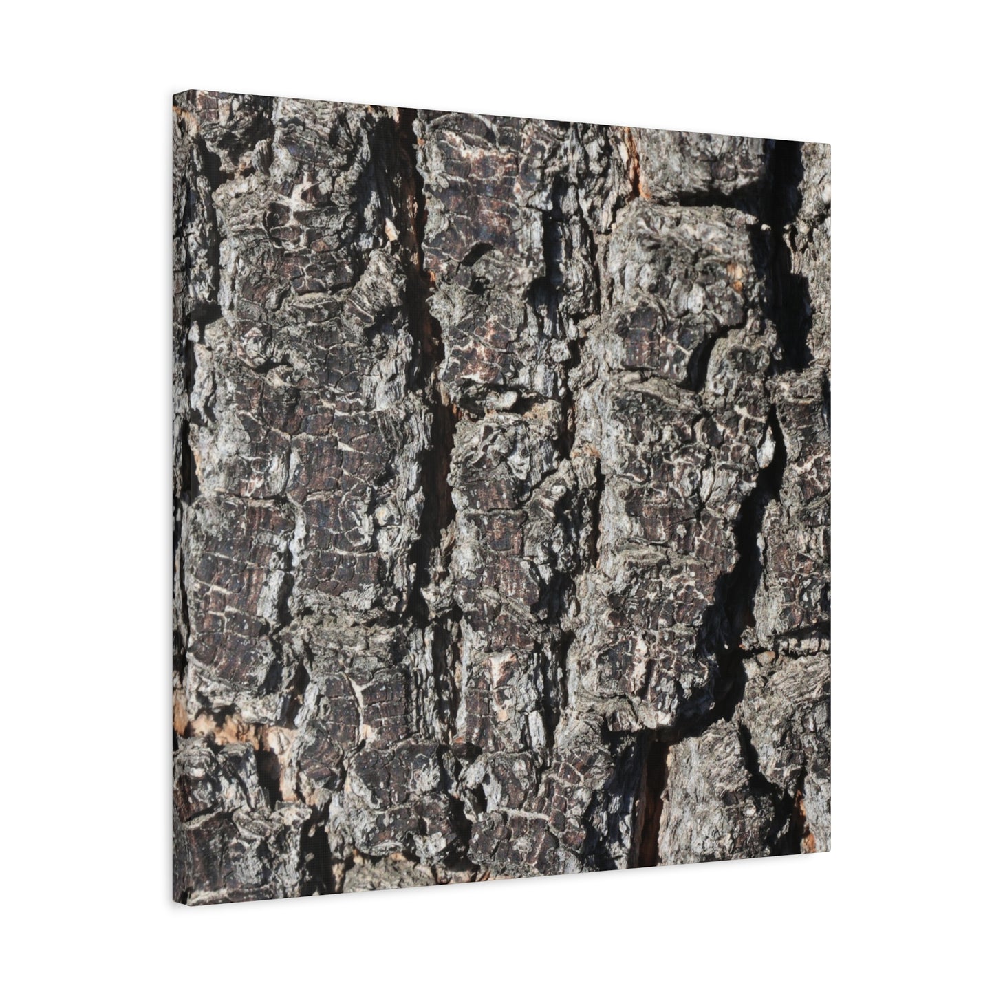 Cracked Skin of Earth - Unique Frameless Canvas Wall Art