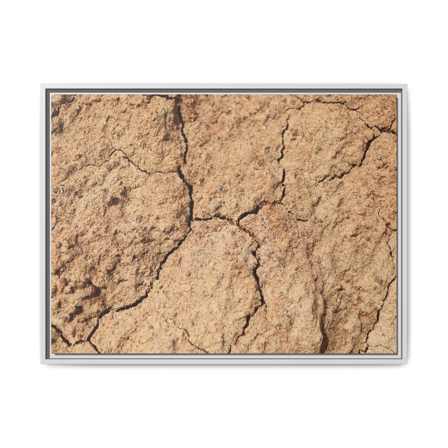 Parched Land - Unique Stretched Canvas Wall Art