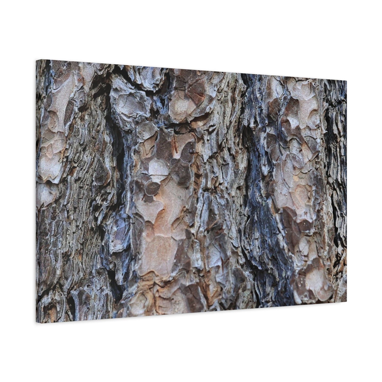 Arboreal Patterns - Unique Frameless Canvas Wall Art