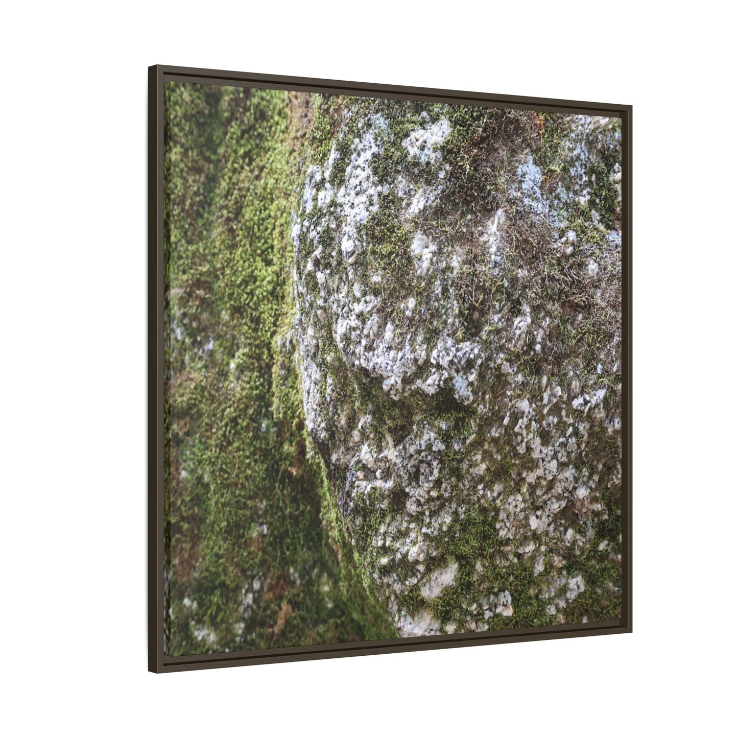 Lichen Landscape - Unique Stretched Canvas Wall Art