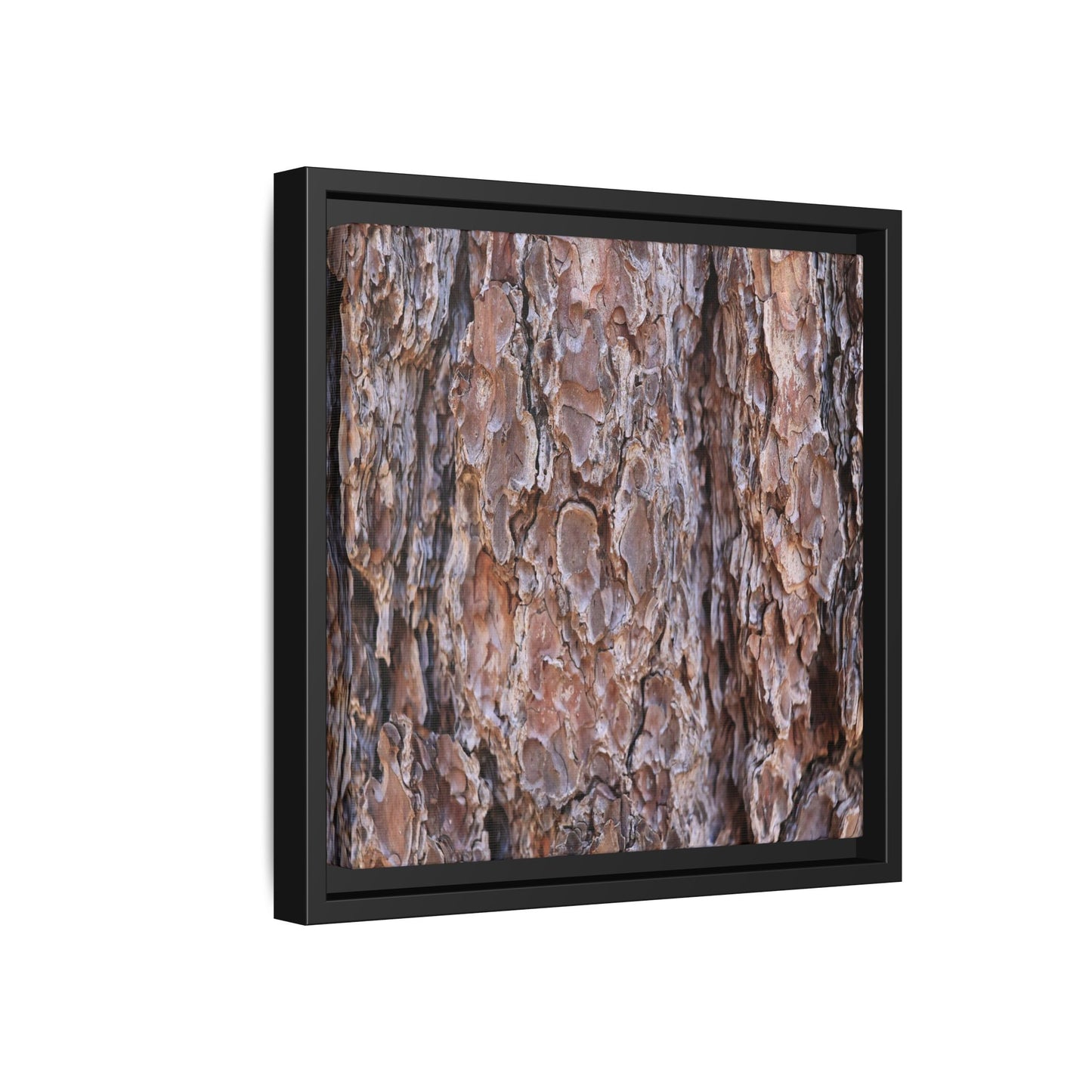 Woody Layers - Unique Stretched Canvas Wall Art