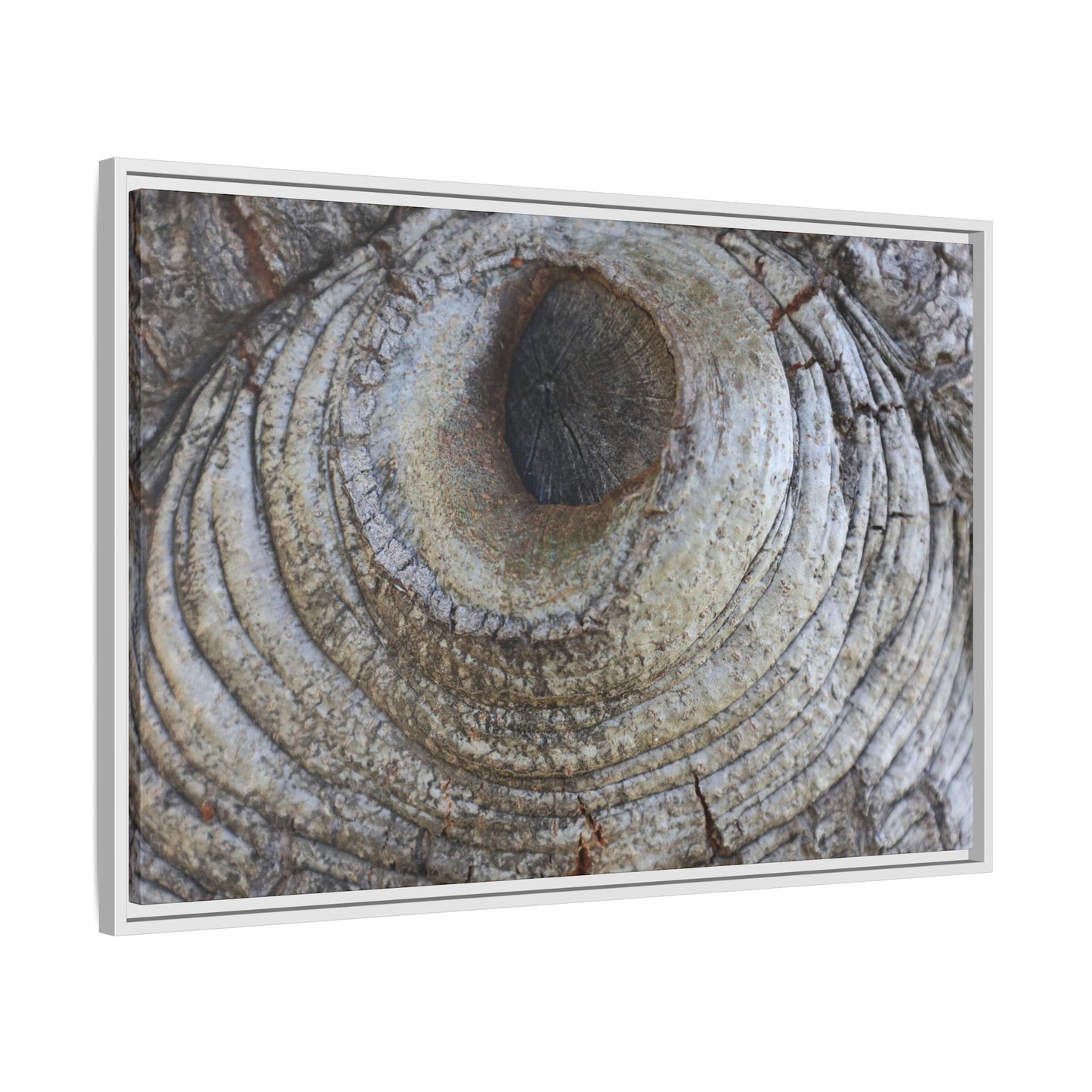 Echoes of Time - Unique Stretched Canvas Wall Art
