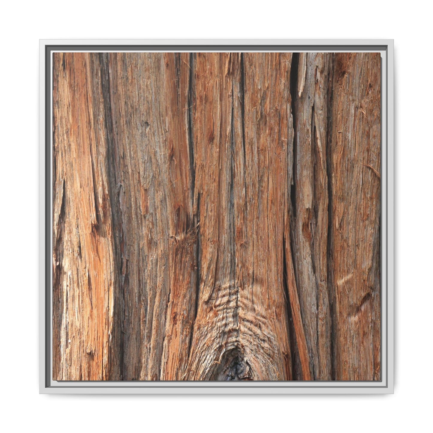 Echoes of Timber - Unique Stretched Canvas Wall Art