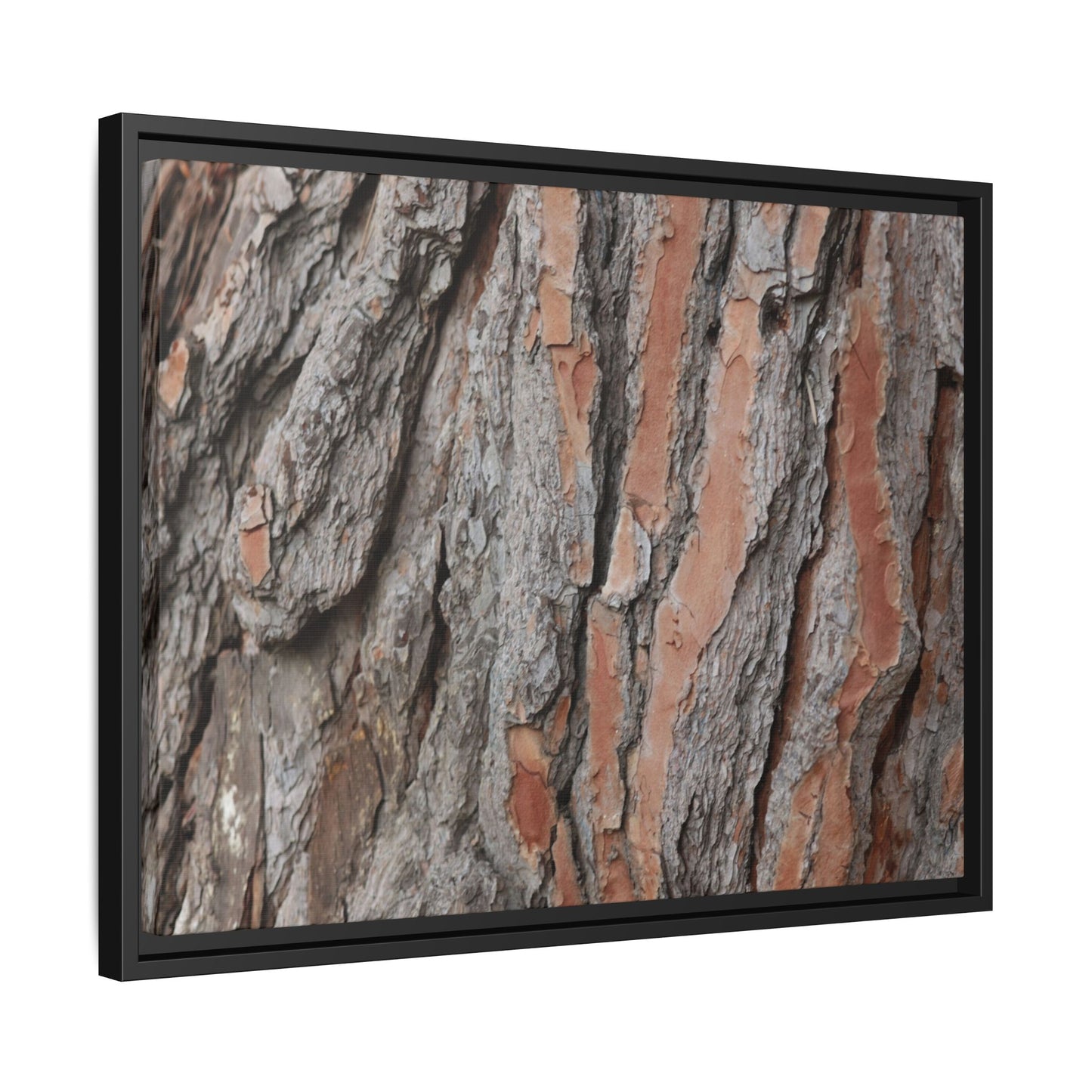 Woodland Layers - Unique Stretched Canvas Wall Art