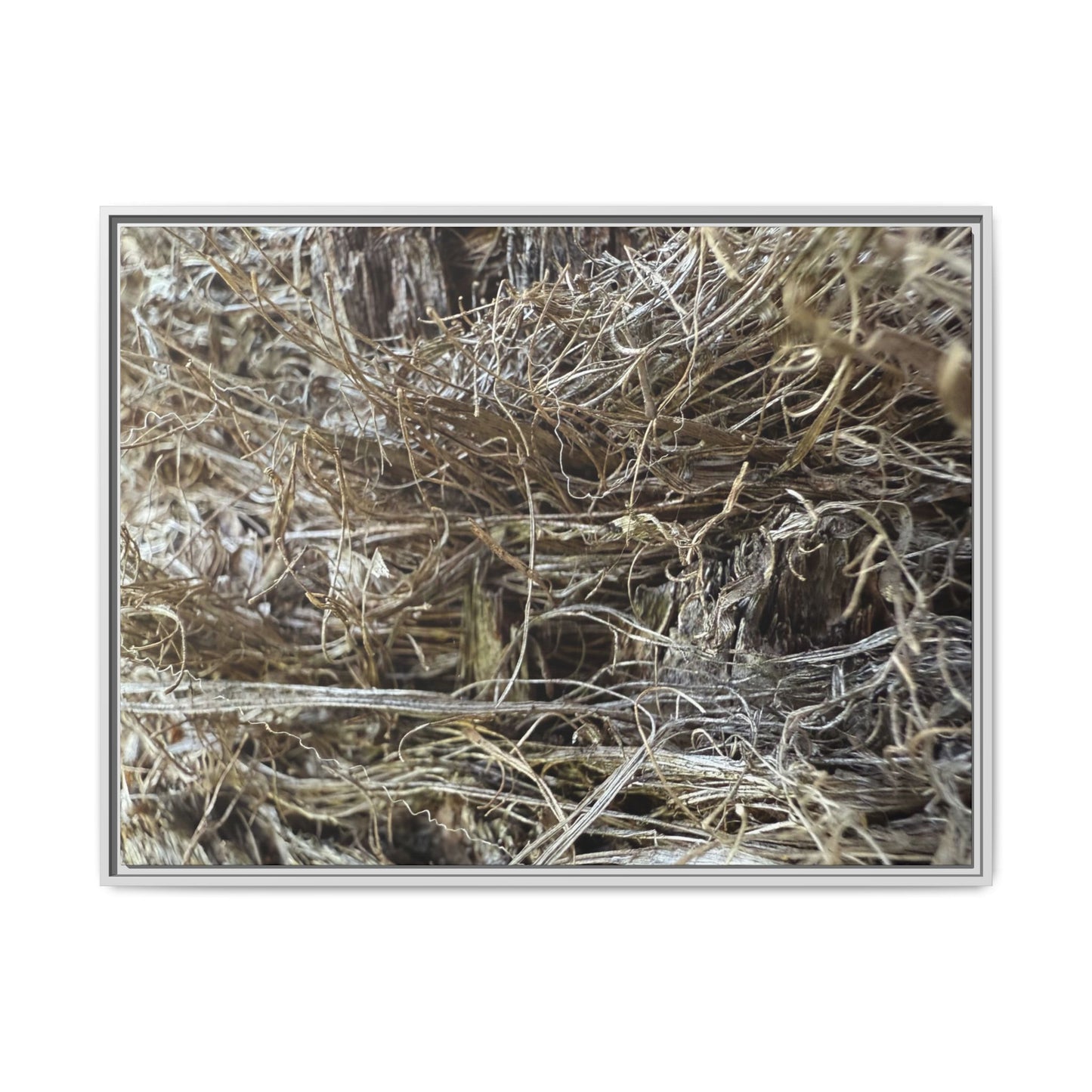Tangled Whispers of Autumn - Unique Stretched Canvas Wall Art
