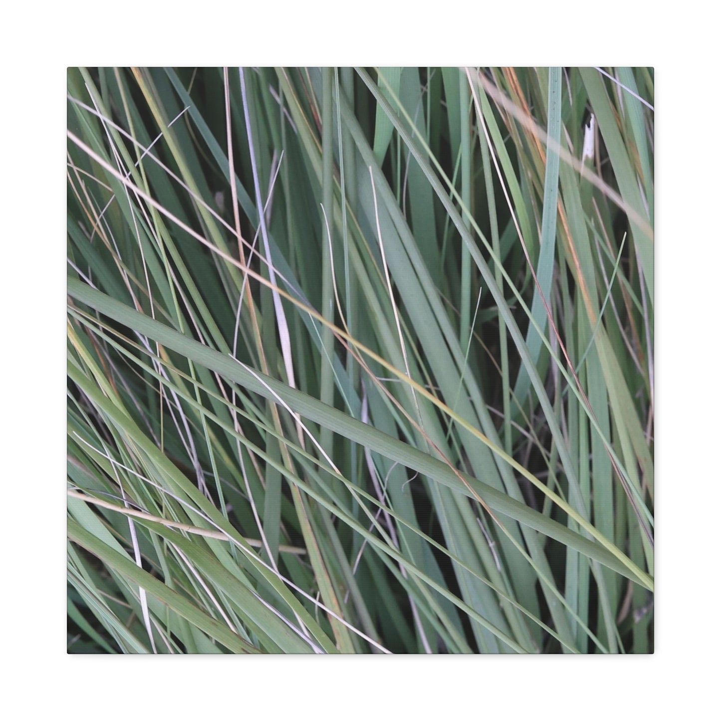 Whispers of Green - Unique Frameless Canvas Wall Art
