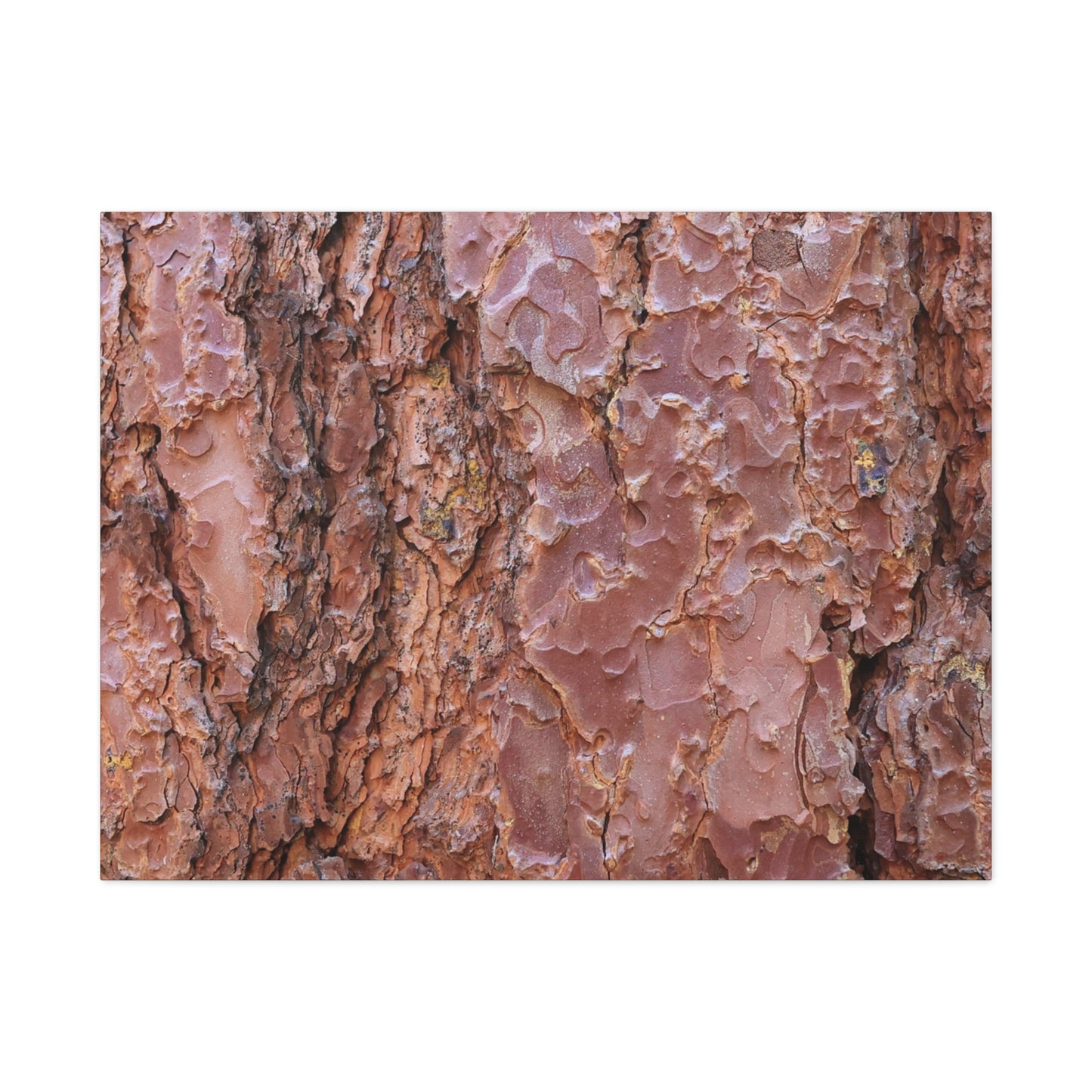 Rusty Textures - Unique Frameless Canvas Wall Art