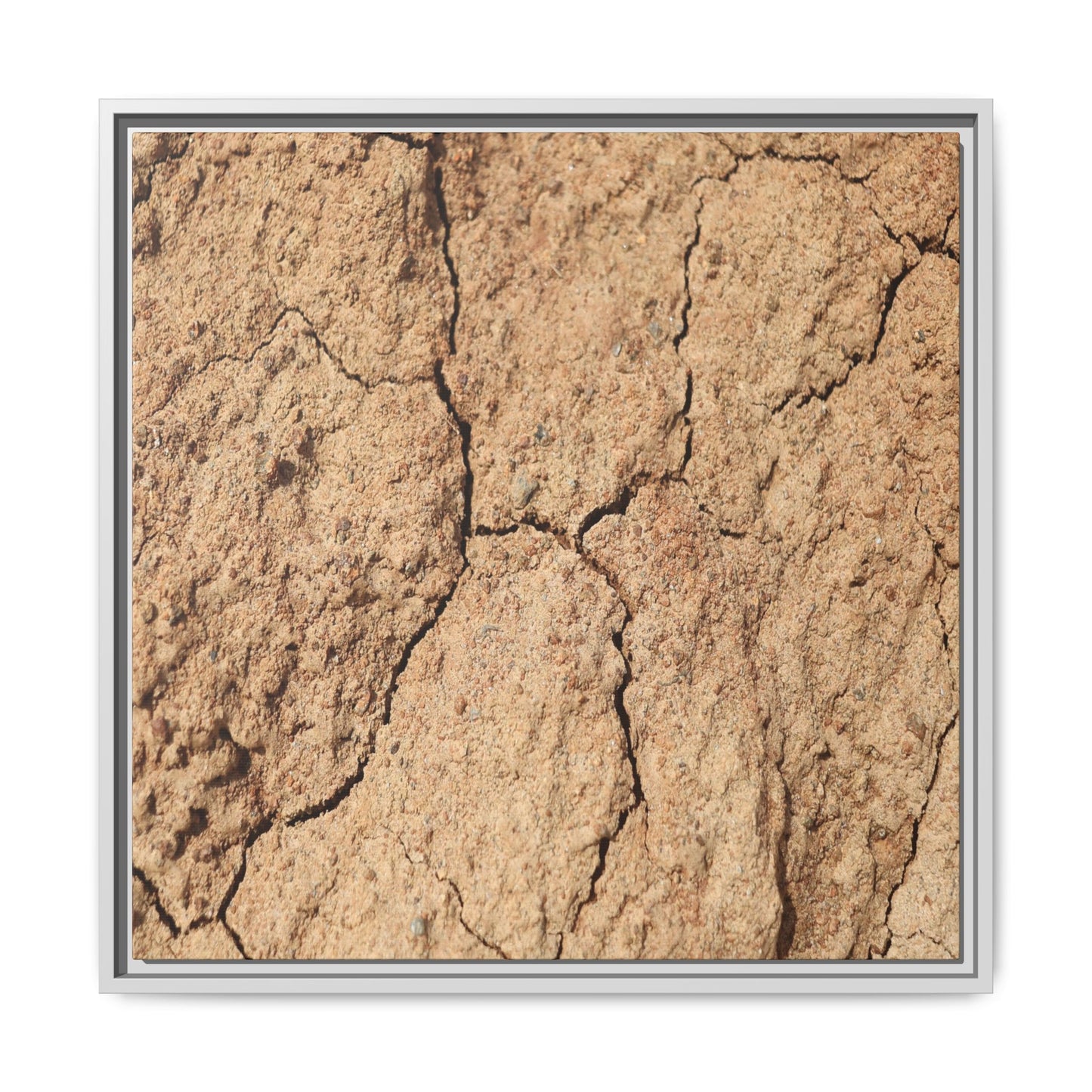 Parched Land - Unique Stretched Canvas Wall Art