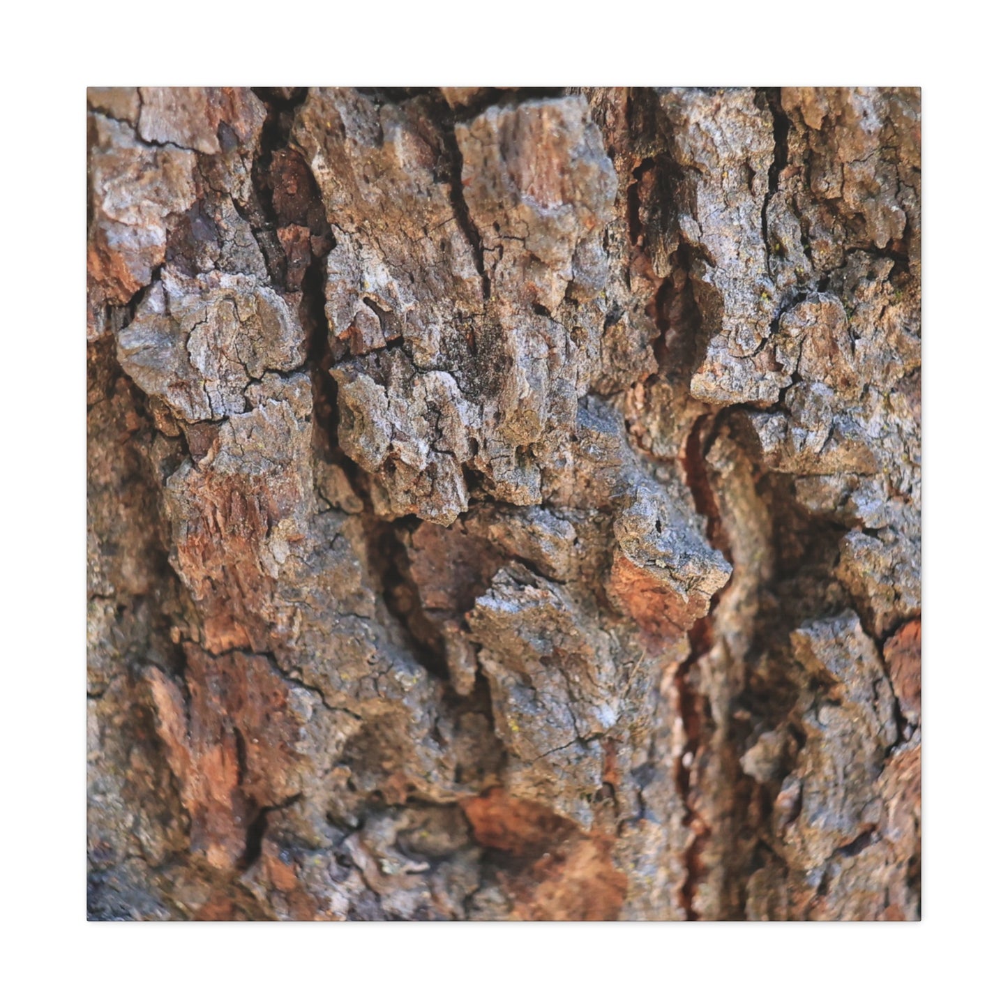 Nature's Skin - Unique Frameless Canvas Wall Art