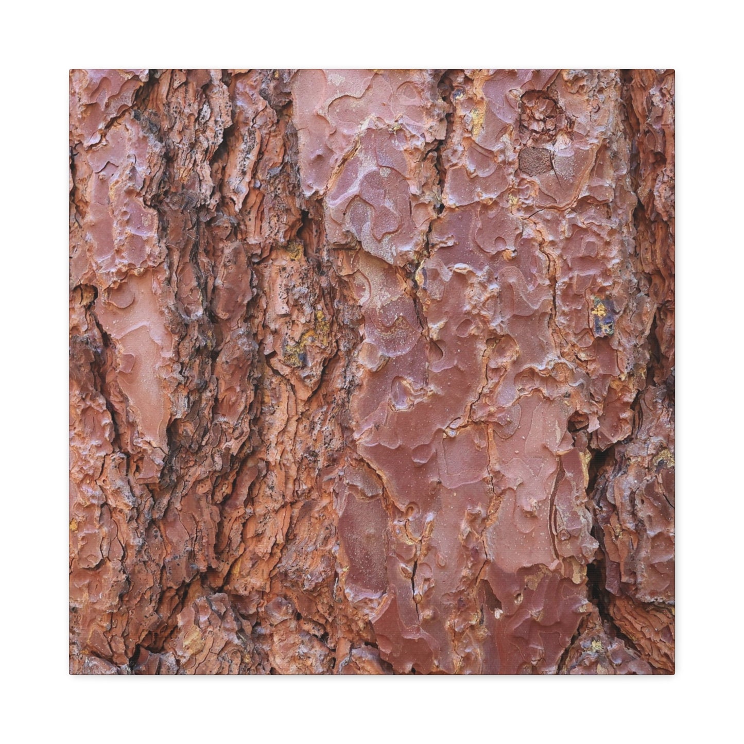 Rusty Textures - Unique Frameless Canvas Wall Art