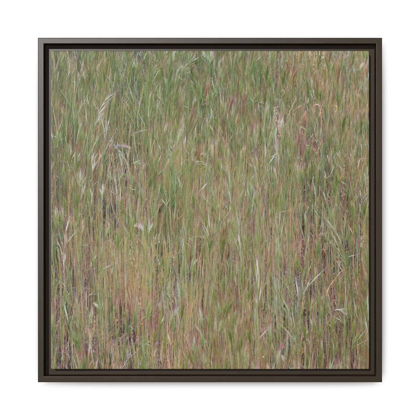 Field of Dreams - Unique Stretched Canvas Wall Art