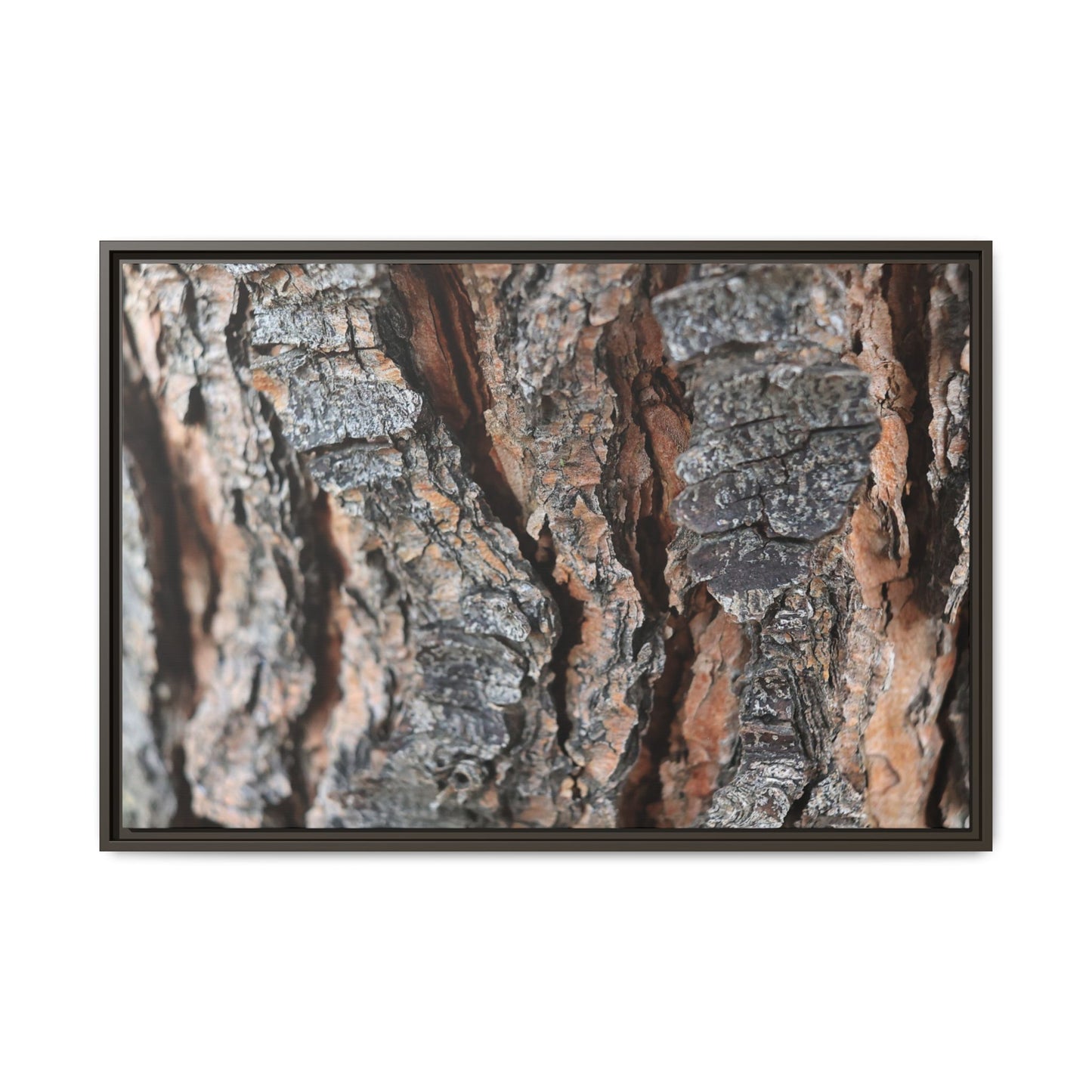 Fractured Nature - Unique Stretched Canvas Wall Art