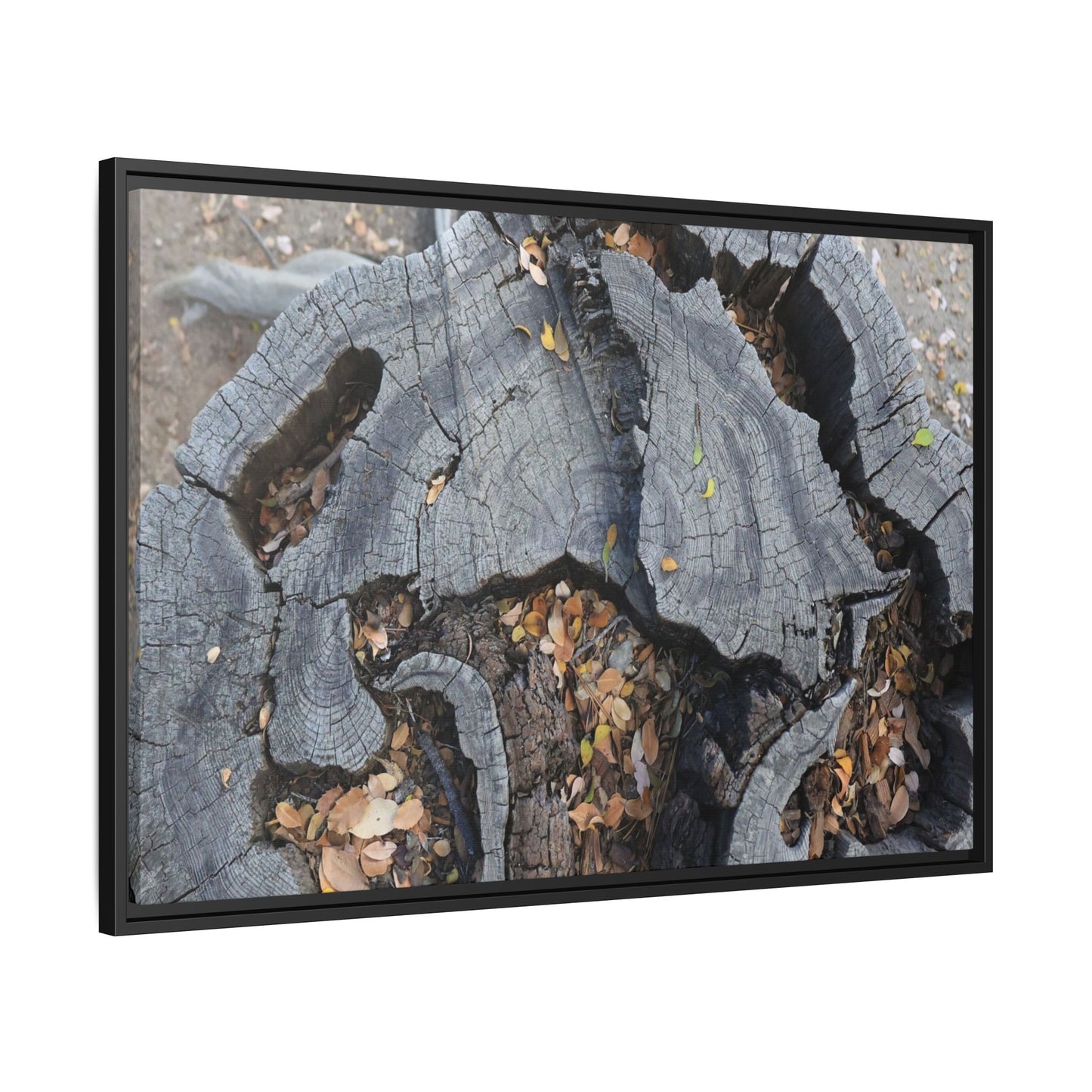 Time's Fractal Memory - Unique Stretched Canvas Wall Art