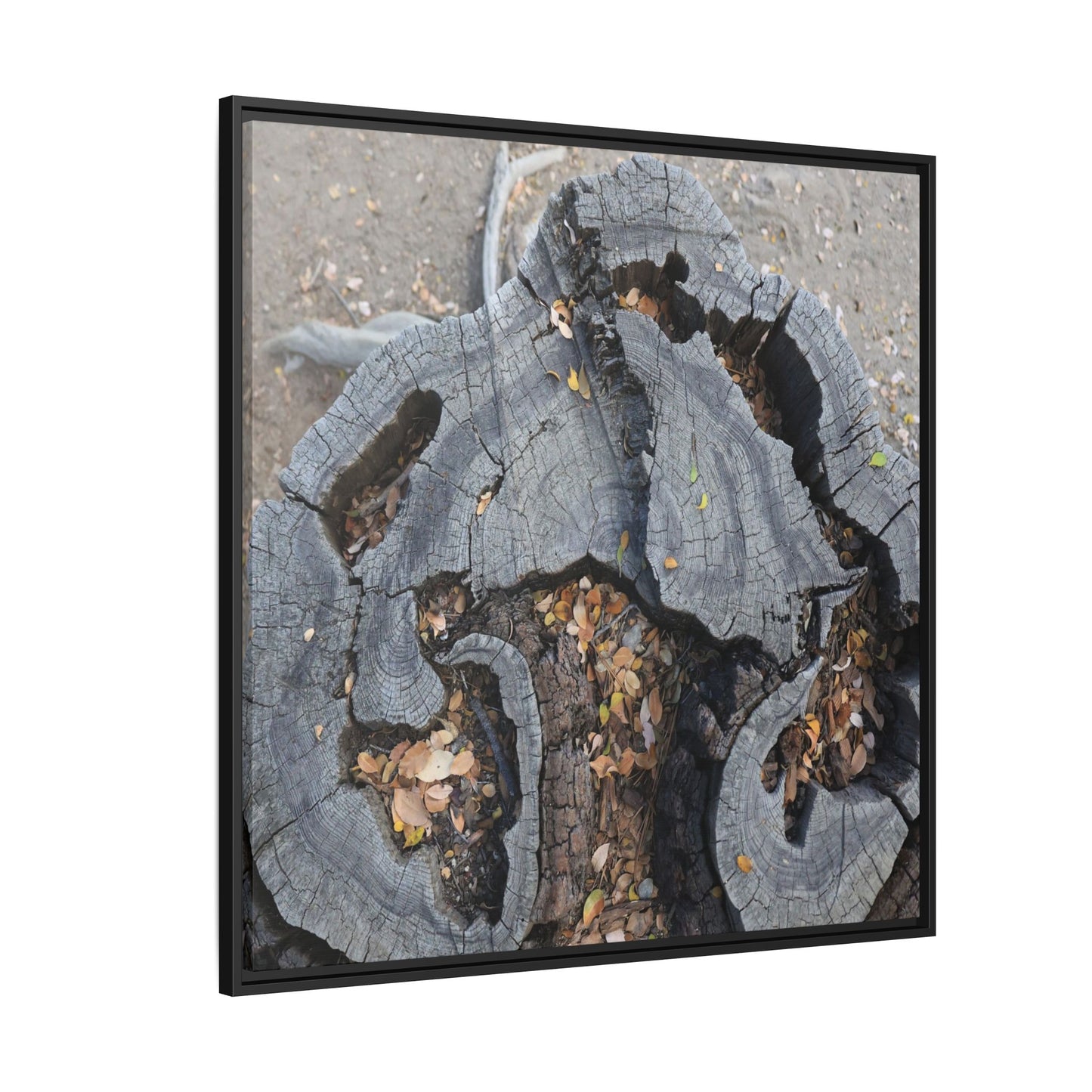 Time's Fractal Memory - Unique Stretched Canvas Wall Art