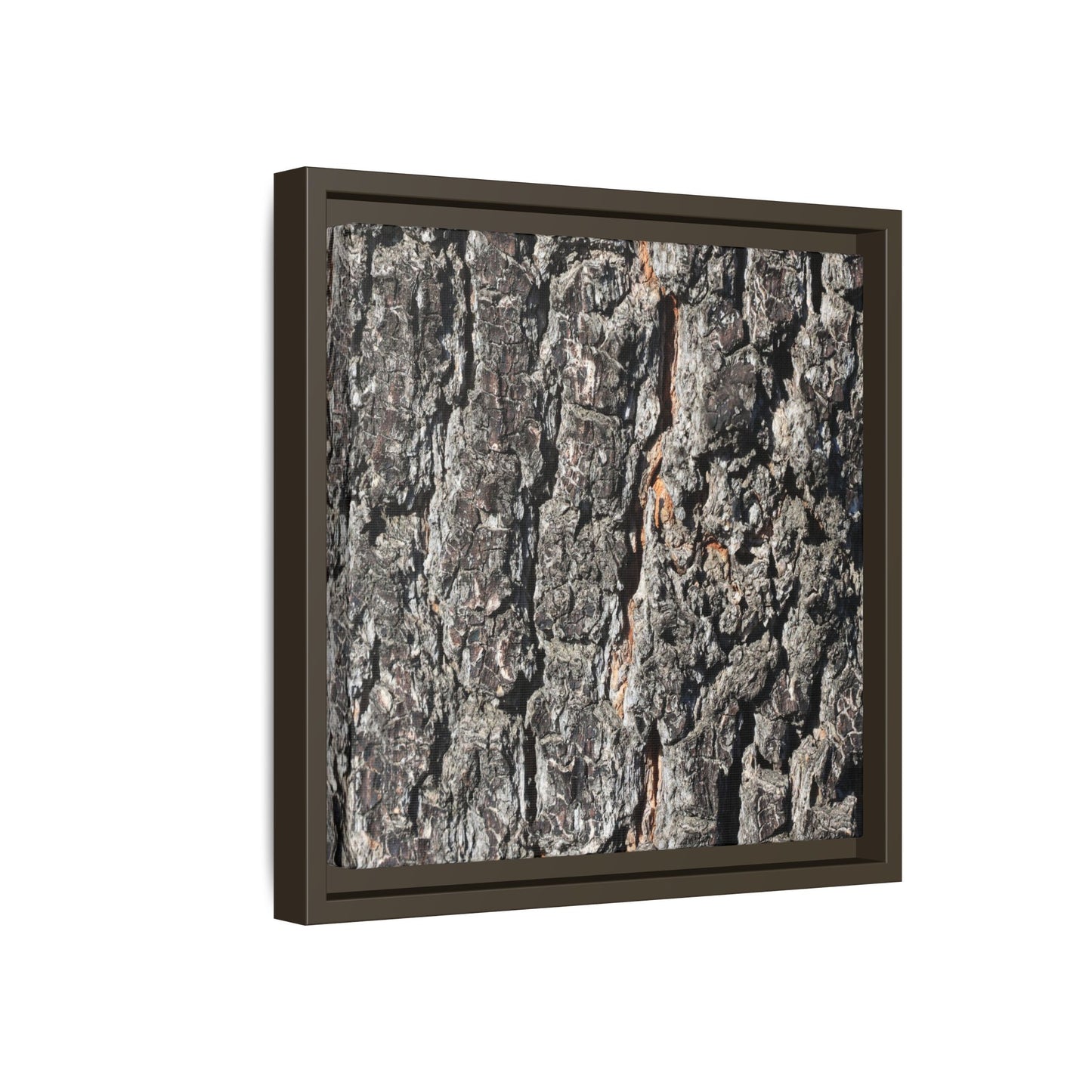 Aged Beauty - Unique Stretched Canvas Wall Art