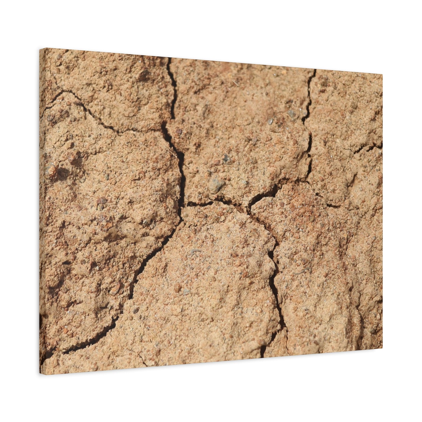 Cracked Earth's Lament - Unique Frameless Canvas Wall Art