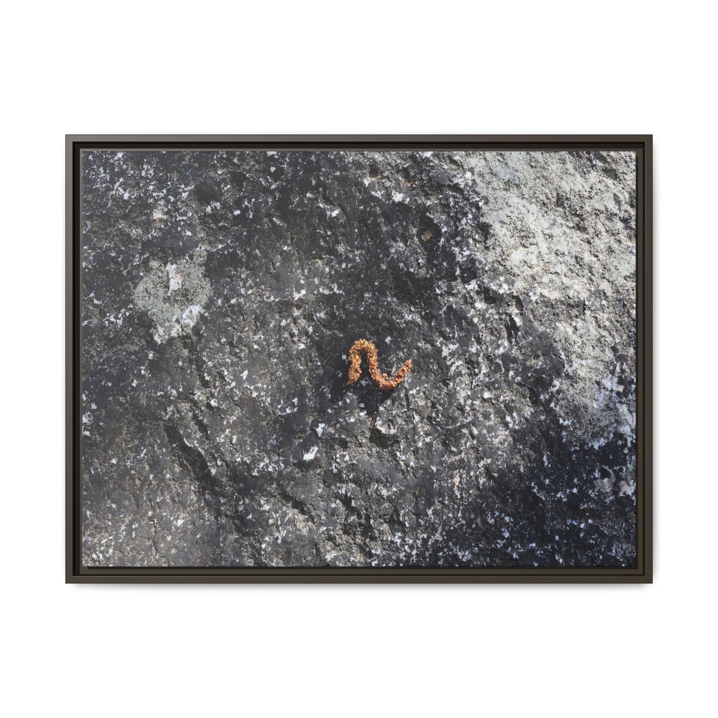 Volcanic Ash and Copper - Unique Stretched Canvas Wall Art