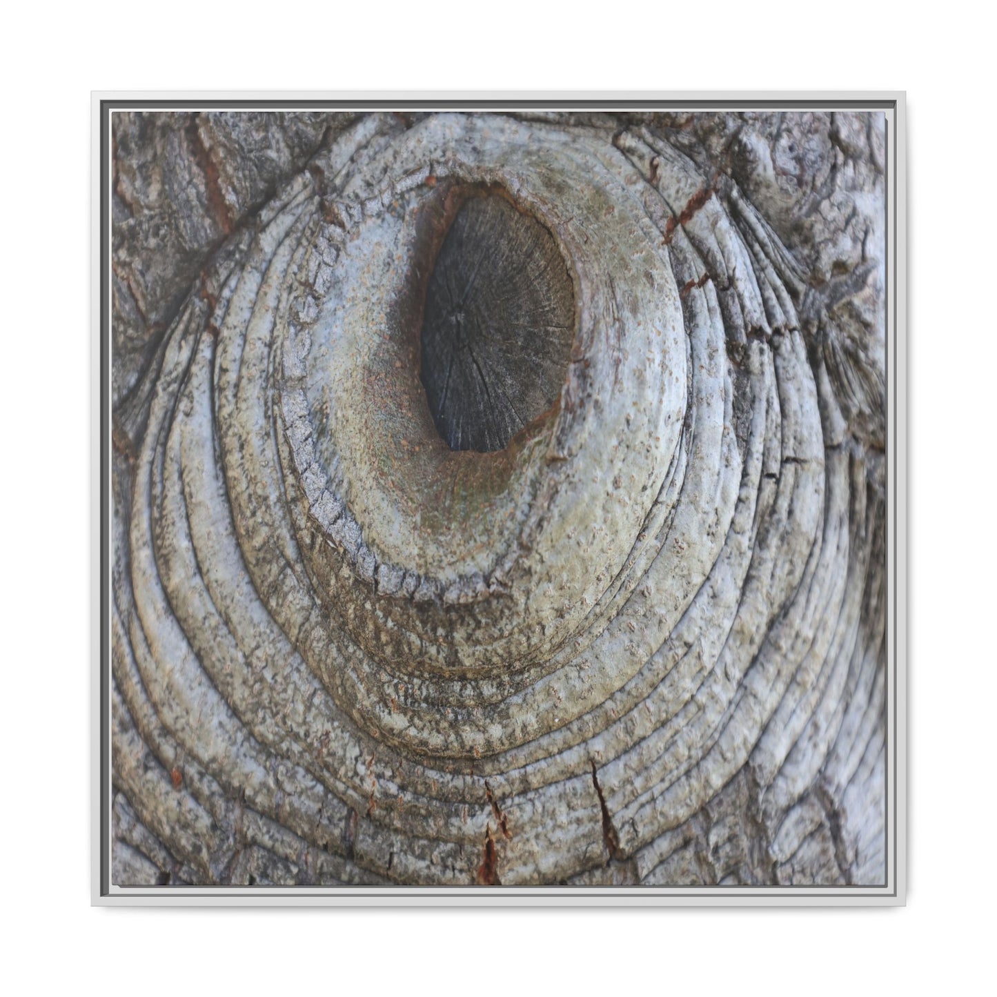 Echoes of Time - Unique Stretched Canvas Wall Art