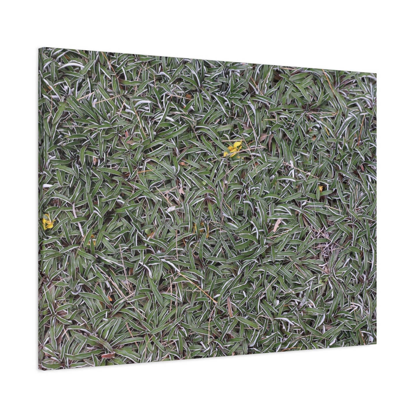 Tangled Memories - Unique Frameless Canvas Wall Art