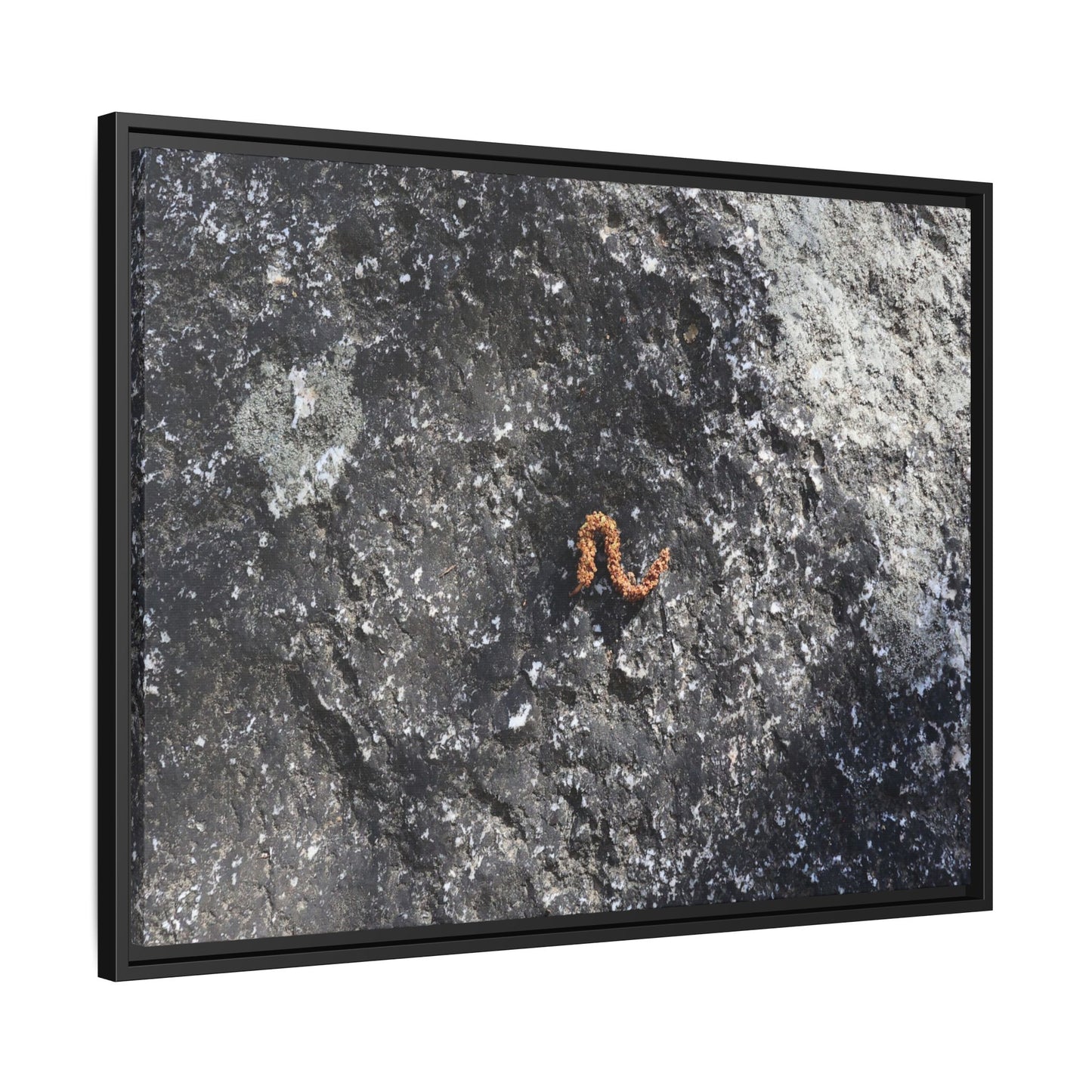 Volcanic Ash and Copper - Unique Stretched Canvas Wall Art